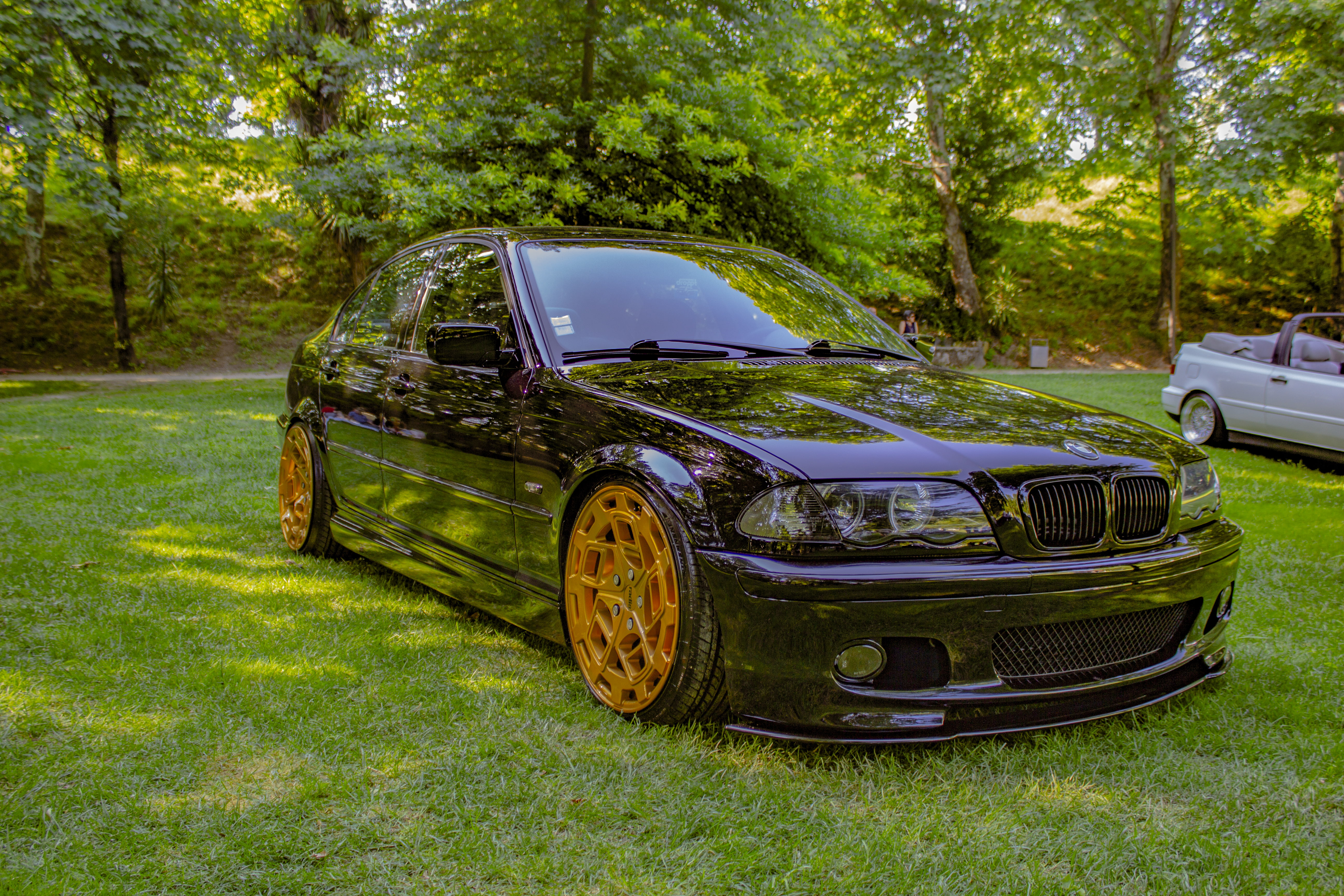 plant, transportation, car, outdoors, field, 5K, day, land, green color, no people, motor vehicle, low, land vehicle, stationary, tree, wheel, E 46, BMW, HD Wallpaper