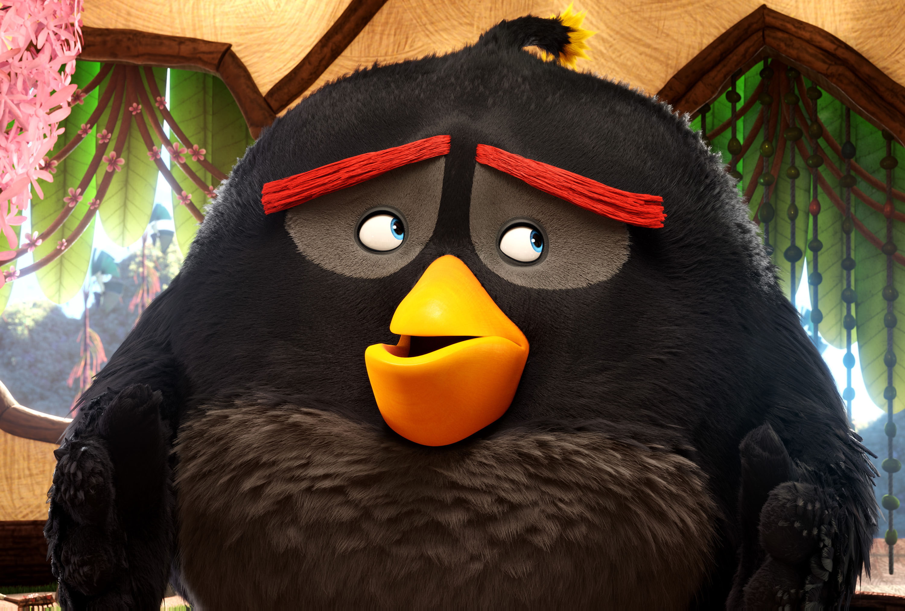 Angry Birds, 2016, 2K, Bomb, HD Wallpaper