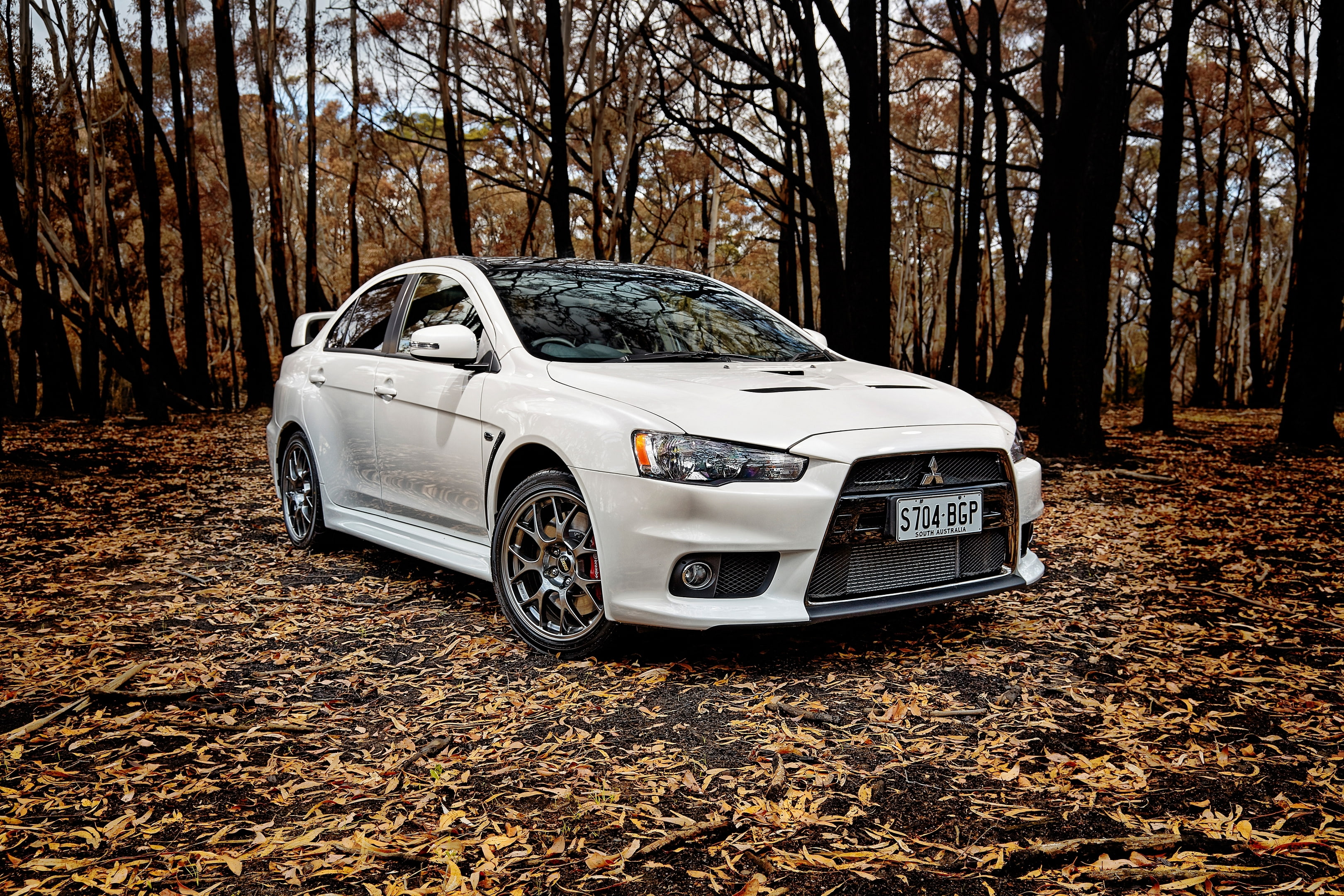 trunk, leaf, transportation, car, black Color, road, field, no People, speed, white, falling, land, Lancer, plant part, Mitsubishi, 2K, wheel, sports Utility Vehicle, HD Wallpaper