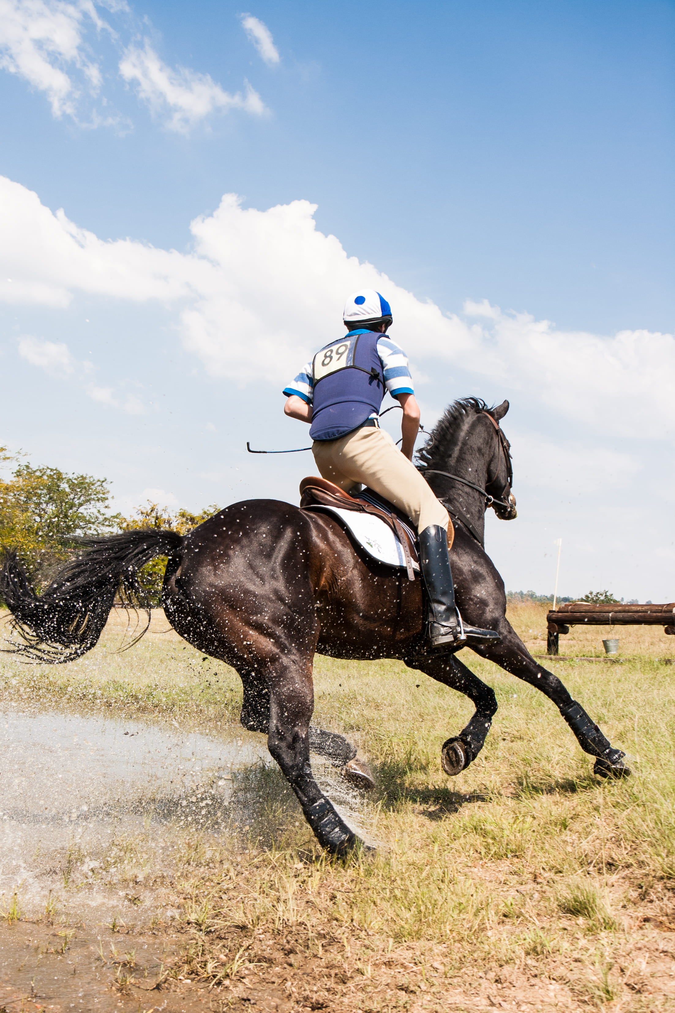 outdoors, nature, low angle shot, domestic, herbivorous, horseback, grass, hurry, action, race track, daylight, sport, stallion, horseback riding, ride, Phone HD Wallpaper