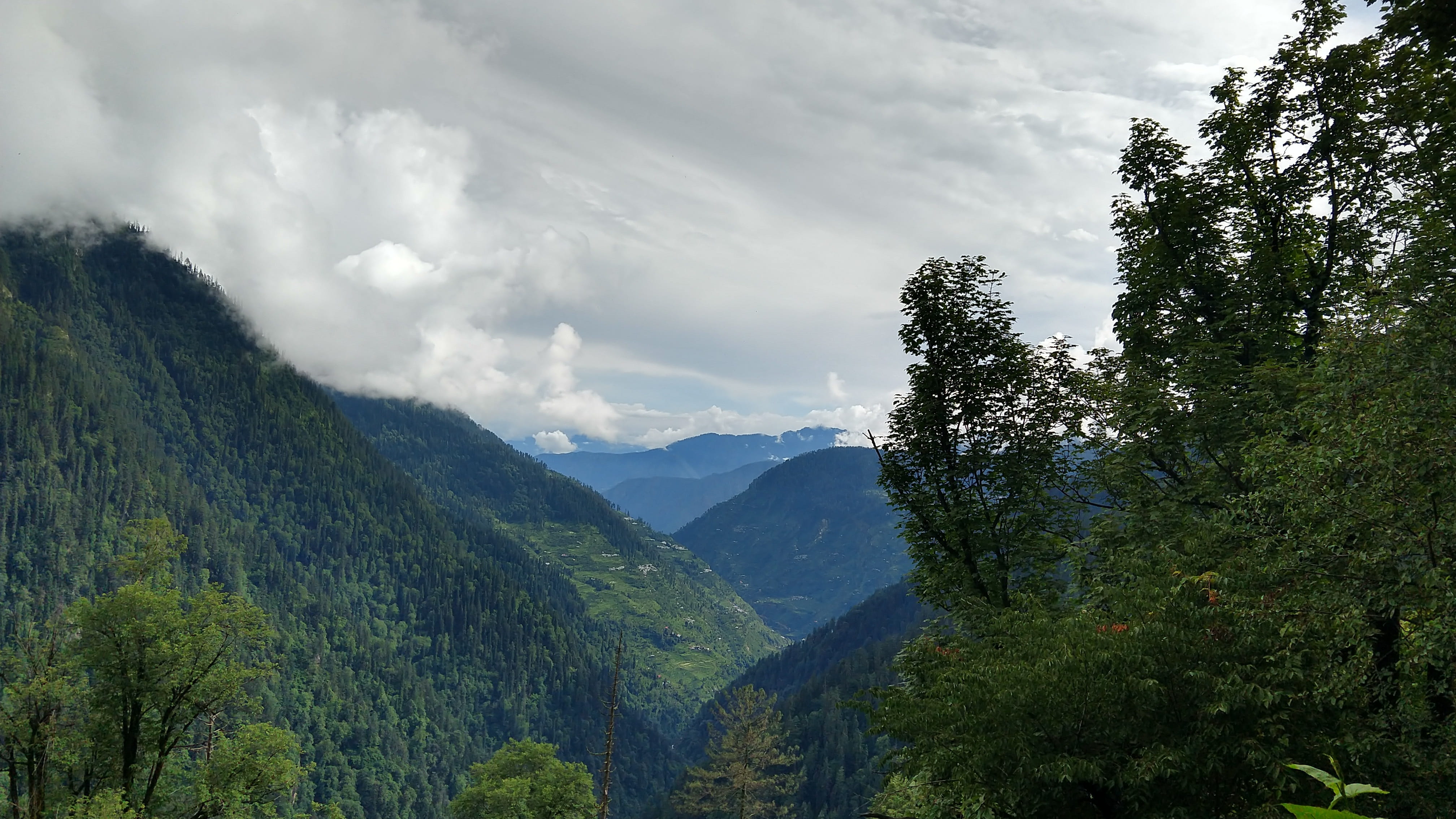 idyllic, backpack, outdoor, himalyan, outdoors, hill, non-urban scene, coniferous tree, mountains, environment, tree, landscape, 4K, beauty in nature, HD Wallpaper