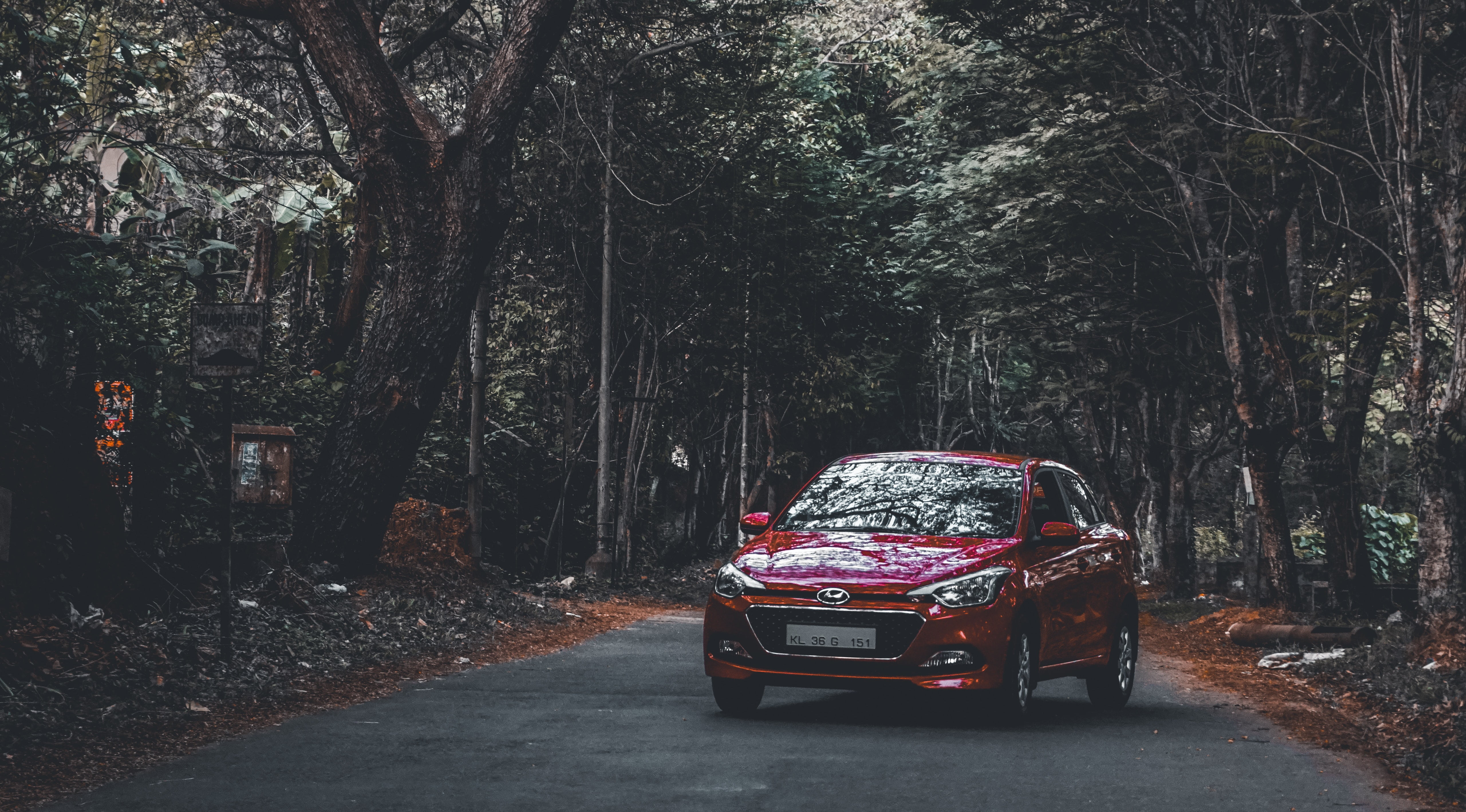 land, road, hyundai, growth, outdoors, land vehicle, motor vehicle, the way forward, trunk, plant, day, hyundai i20, no people, nature, car, tree trunk, HD Wallpaper