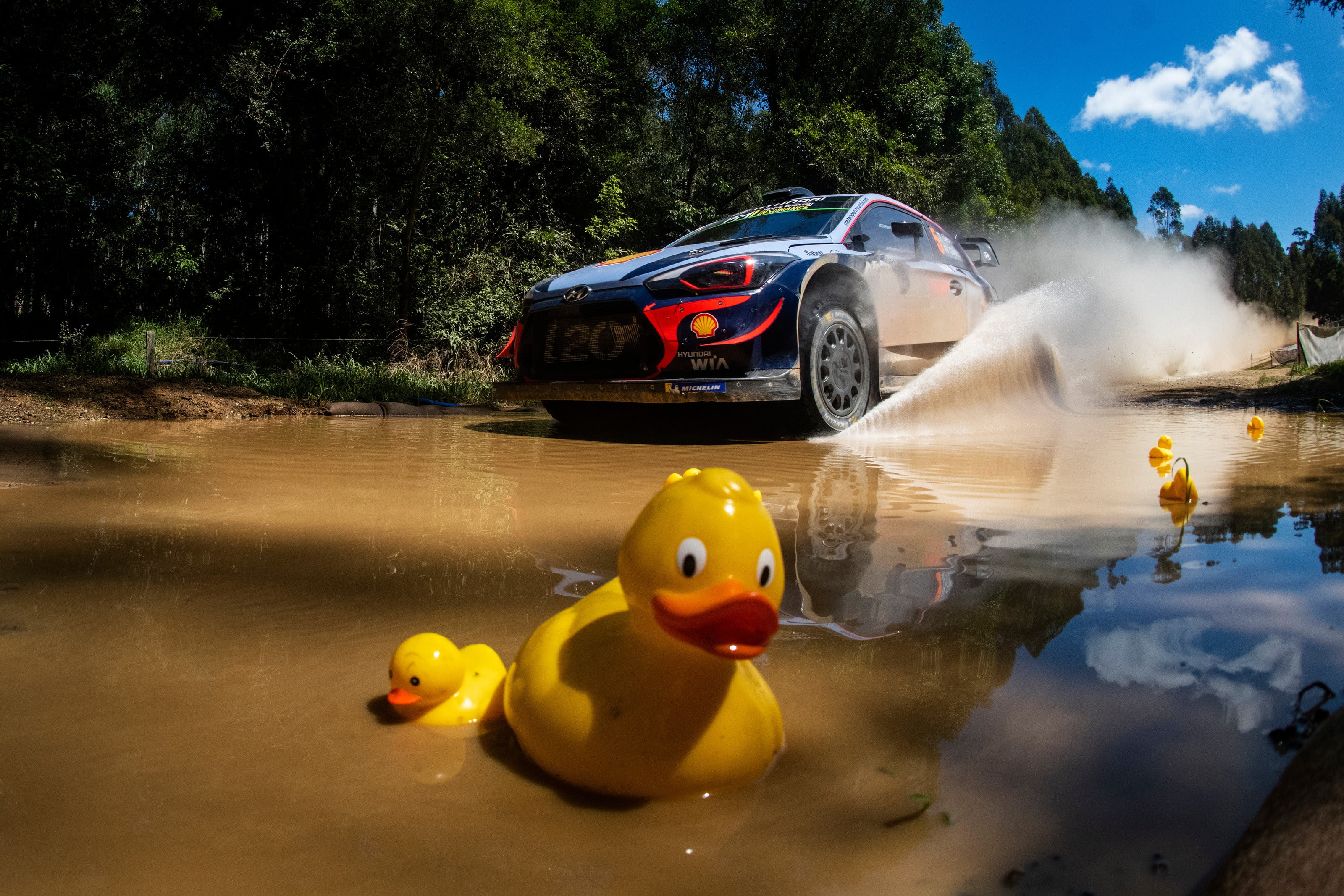 2K, Hyundai i20 WRC, wrc 2018, Australia, Neville, duck, HD Wallpaper