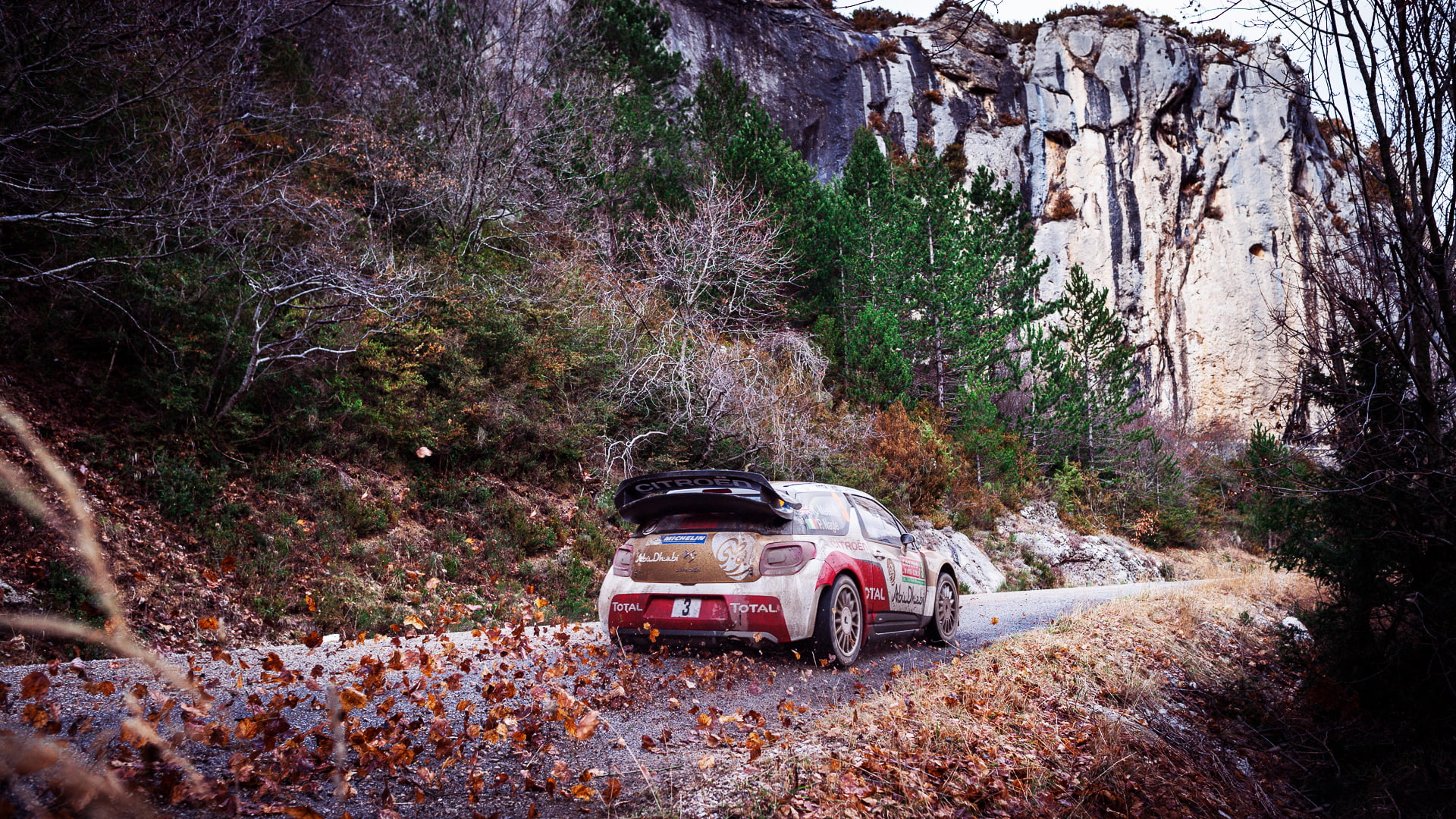 Sport, Rally, Machine, Total, DS3, Rocks, Citroen, Leaves, WRC, Mountains, 1080P, HD Wallpaper