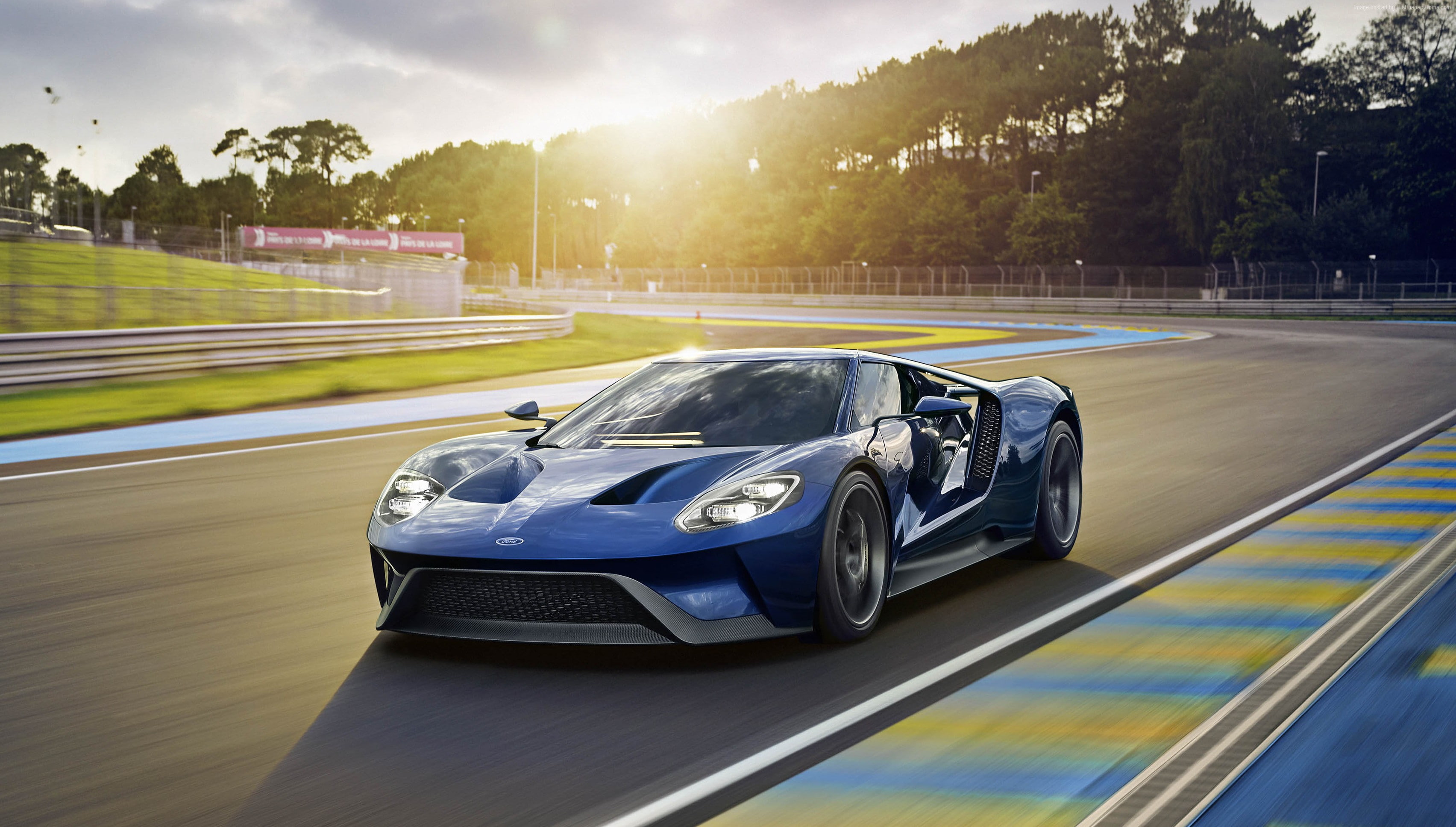 2K, blurred motion, plant, luxury, car, land vehicle, motion, motorsport, competitive sport, speed, sports track, sunlight, motor racing track, Ford GT40, HD Wallpaper