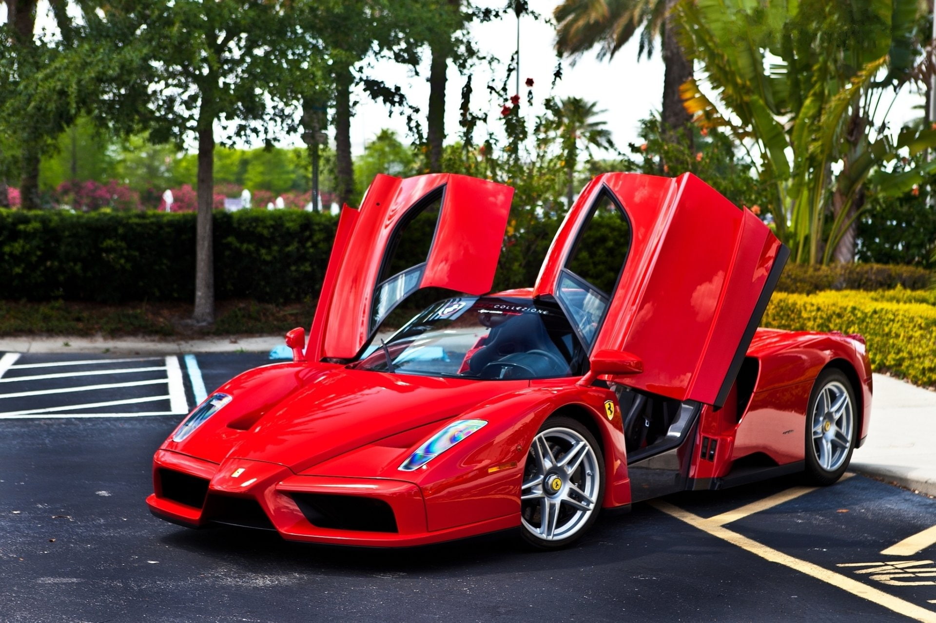 Ferrari Enzo, 1080P, Ferrari, HD Wallpaper