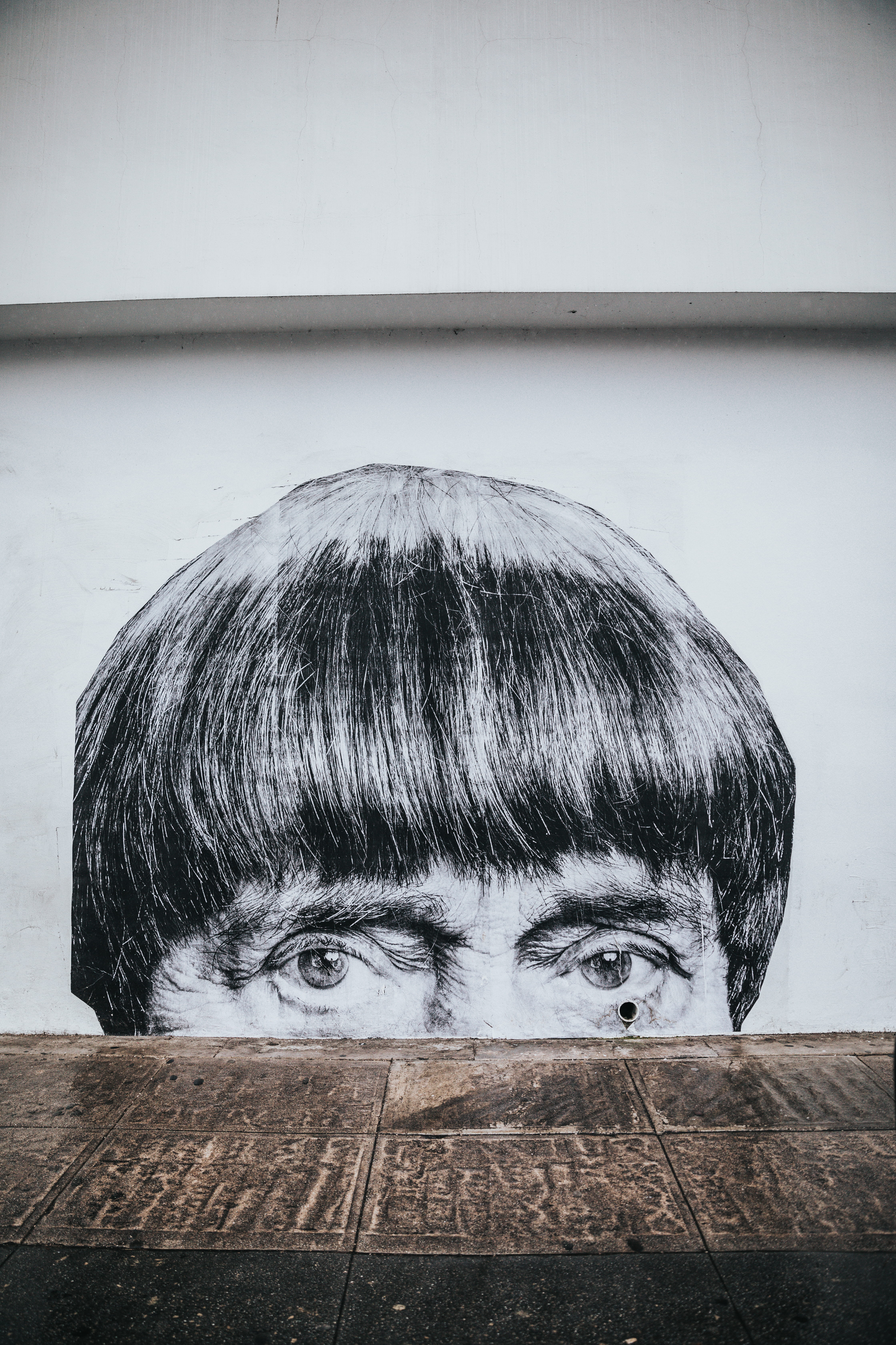 painting, 5K, lifestyles, human body part, human hair, hairstyle, hair, portrait, los angeles, headshot, wood - material, human face, abbot kinney, real people, Phone HD Wallpaper