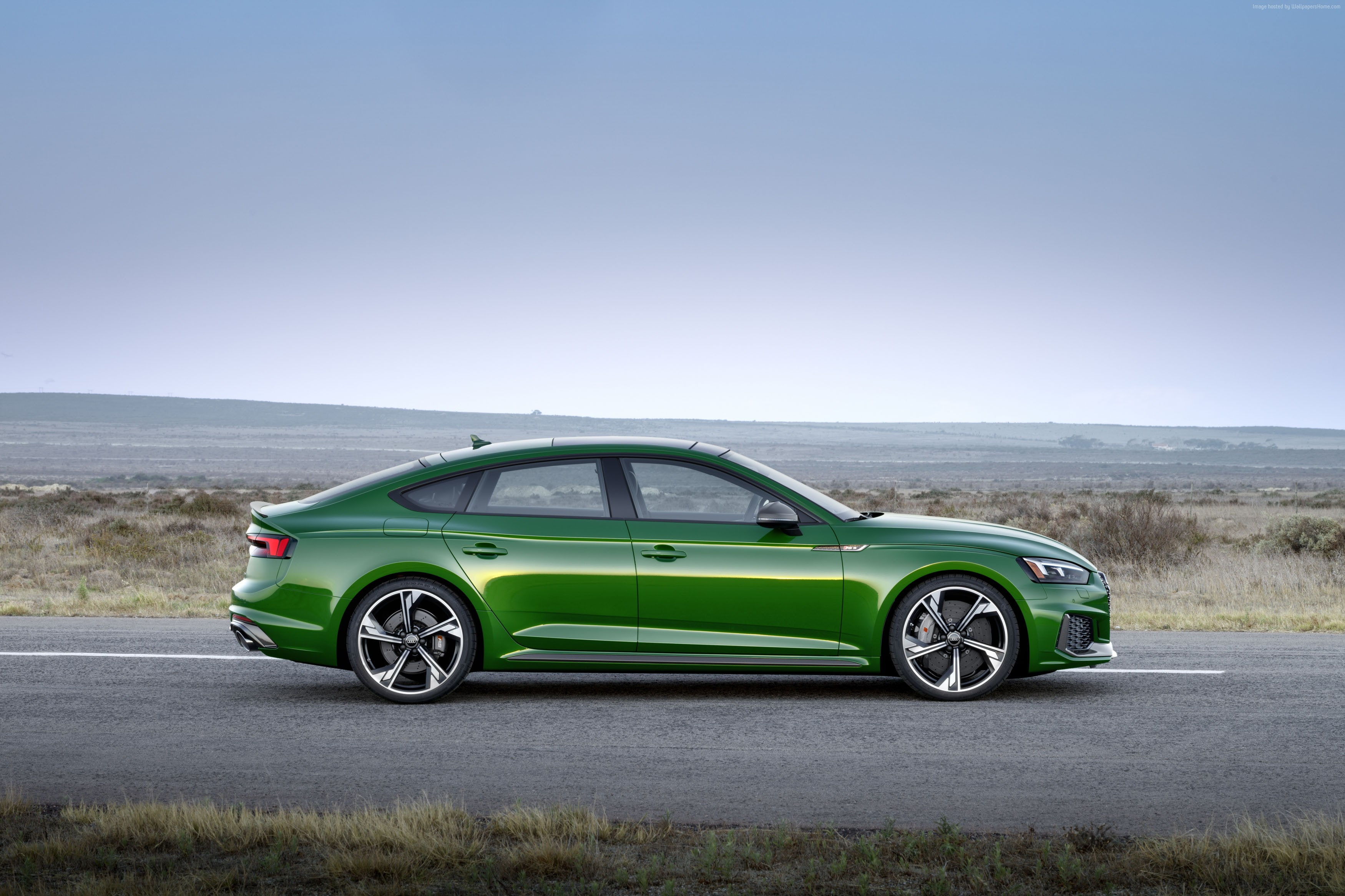 4K, Audi RS5 Sportback, 2019 Cars, 2K, HD Wallpaper