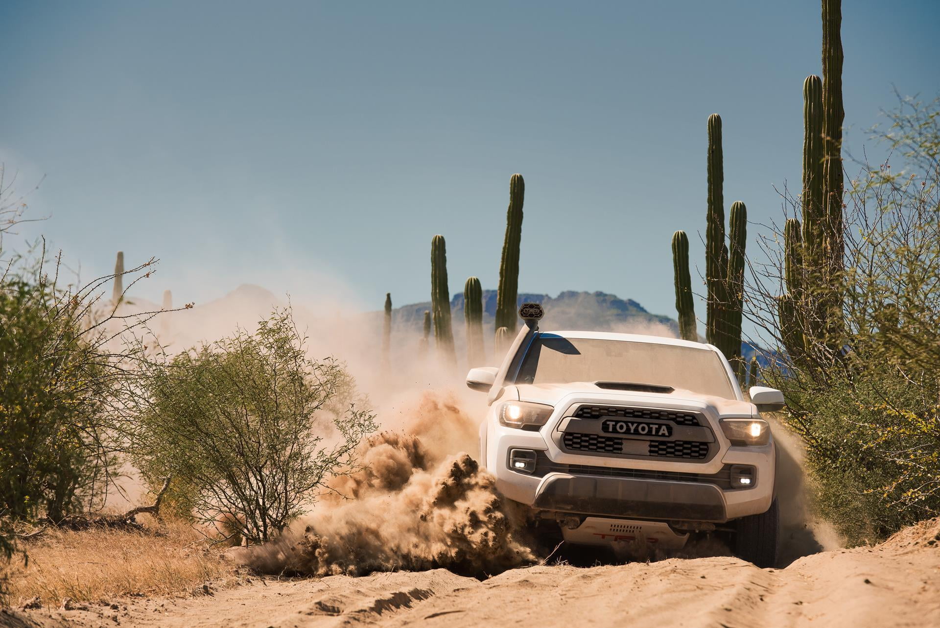 car, tacoma, toyota, 1080P, HD Wallpaper