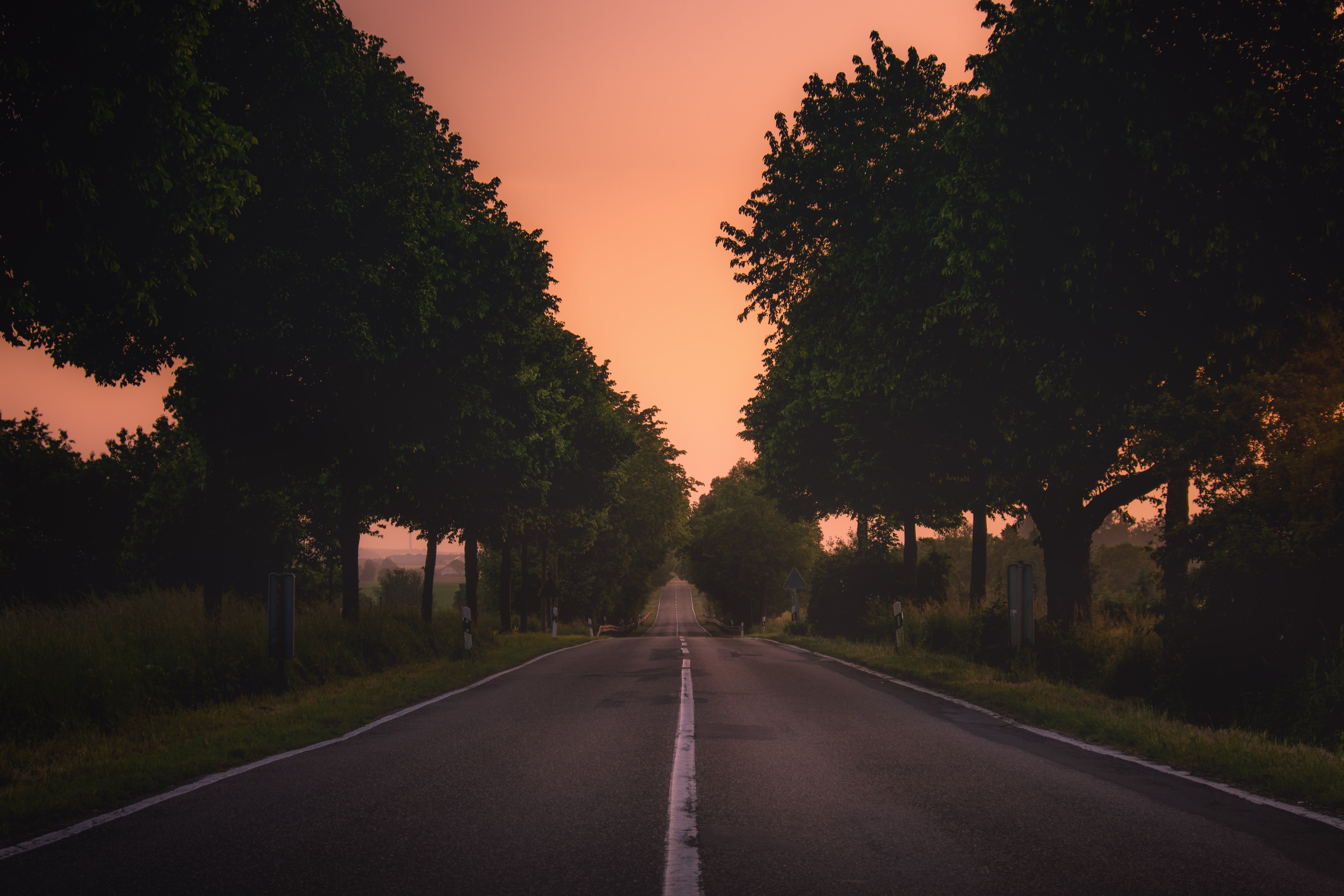 direction, tranquil scene, marking, the way forward, transportation, growth, Germany, sky, grass, treelined, diminishing perspective, outdoors, sign, no people, HD Wallpaper