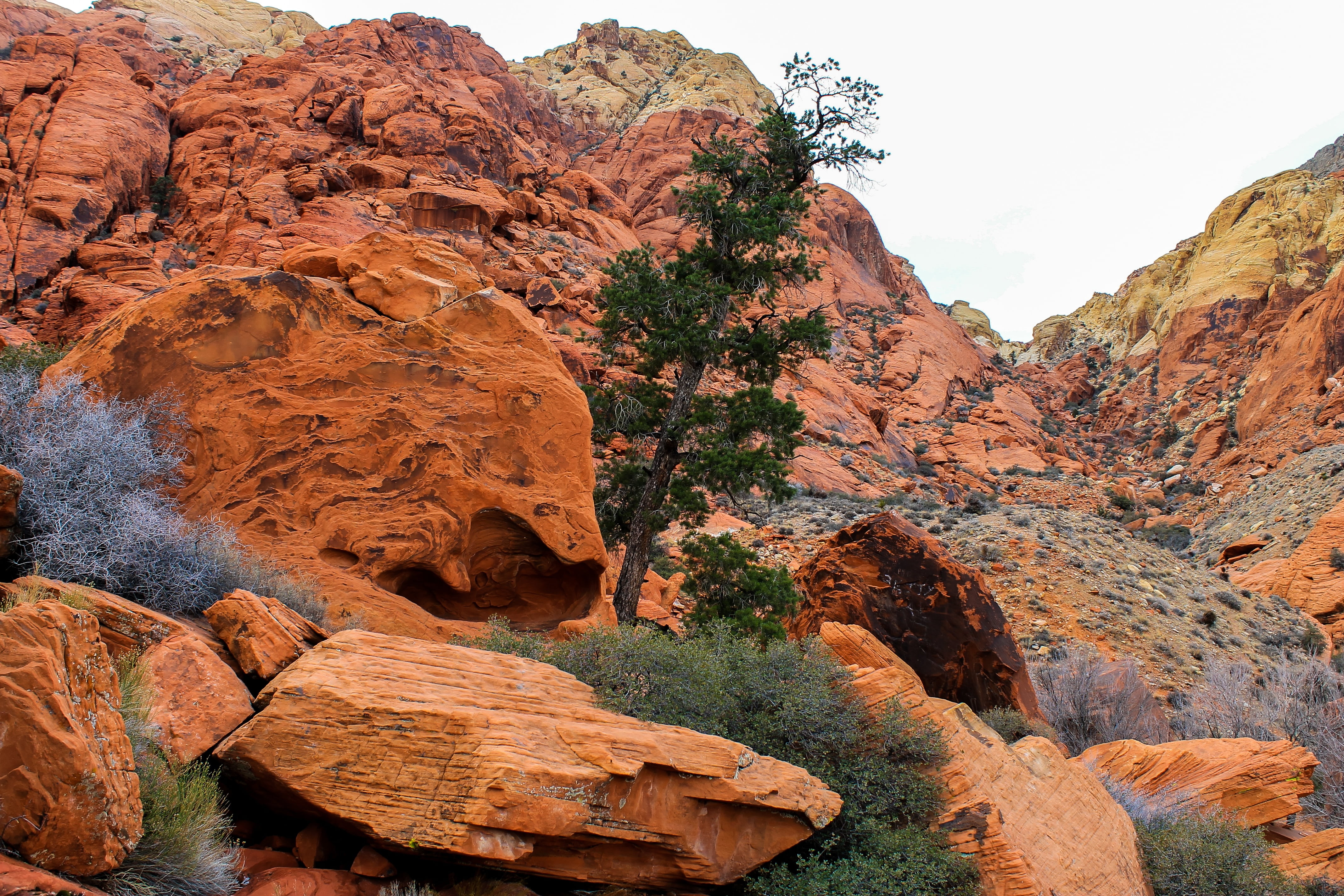 green, formation, layer, dry, mountain, non-urban scene, red rocks, beauty in nature, tranquil scene, eroded, solid, outdoors, middle, tranquility, 4K, HD Wallpaper