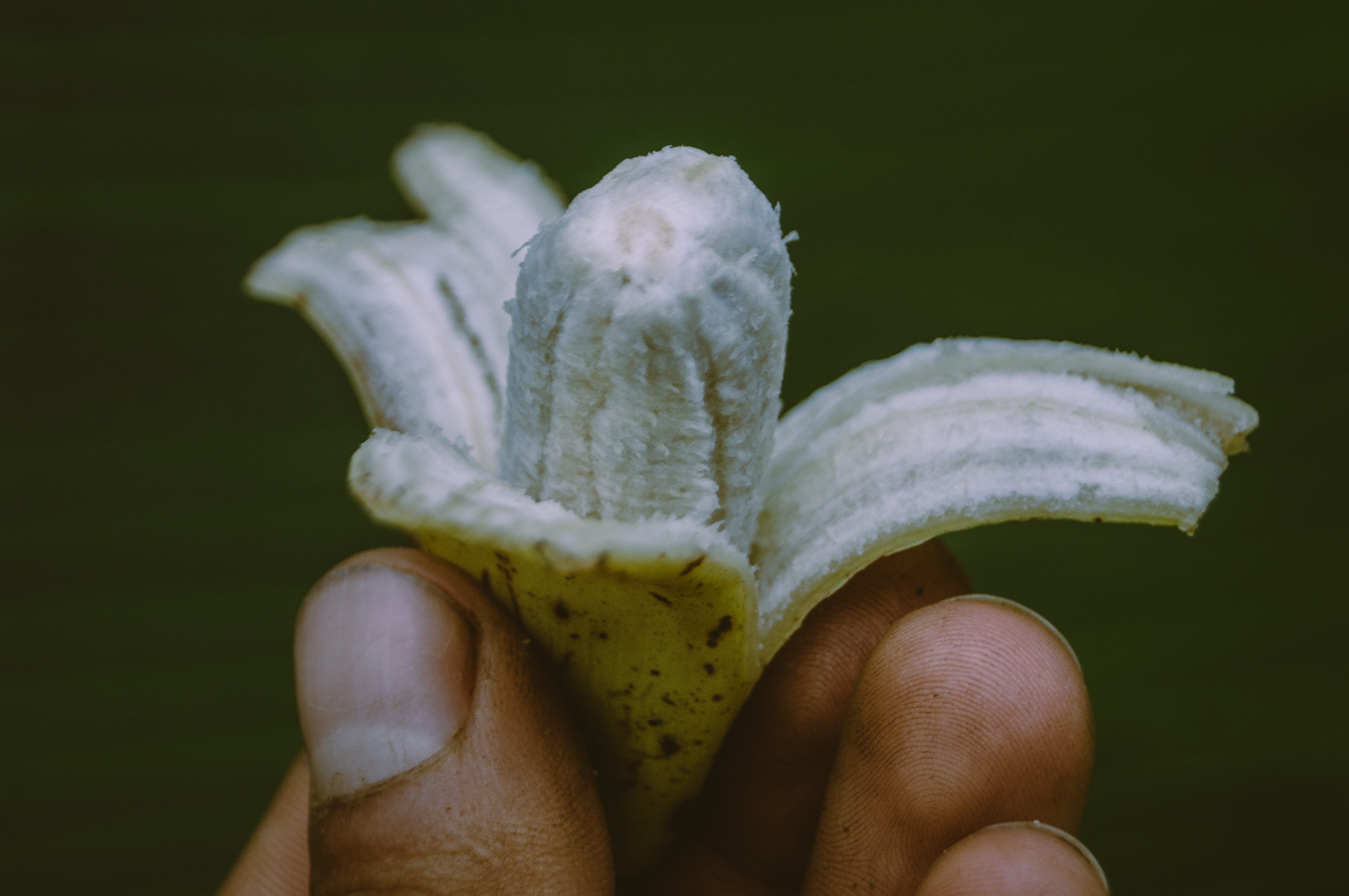 macro, organic, eat, small, lifestyles, sweet, nutritious, human hand, agriculture, focus on foreground, banana, personal perspective, nature, freshness, HD Wallpaper