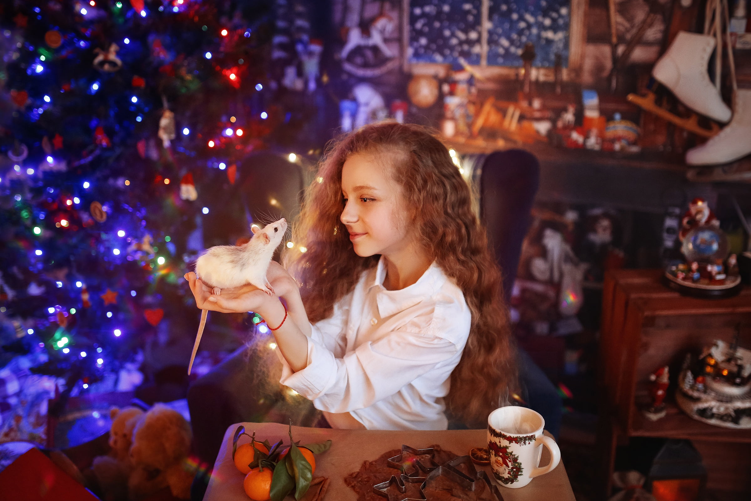 holiday, room, Valeria Kasperova, new year, tree, rodent, Two thousand twenty, child, girl, 1080P, rat, symbol of the year, HD Wallpaper