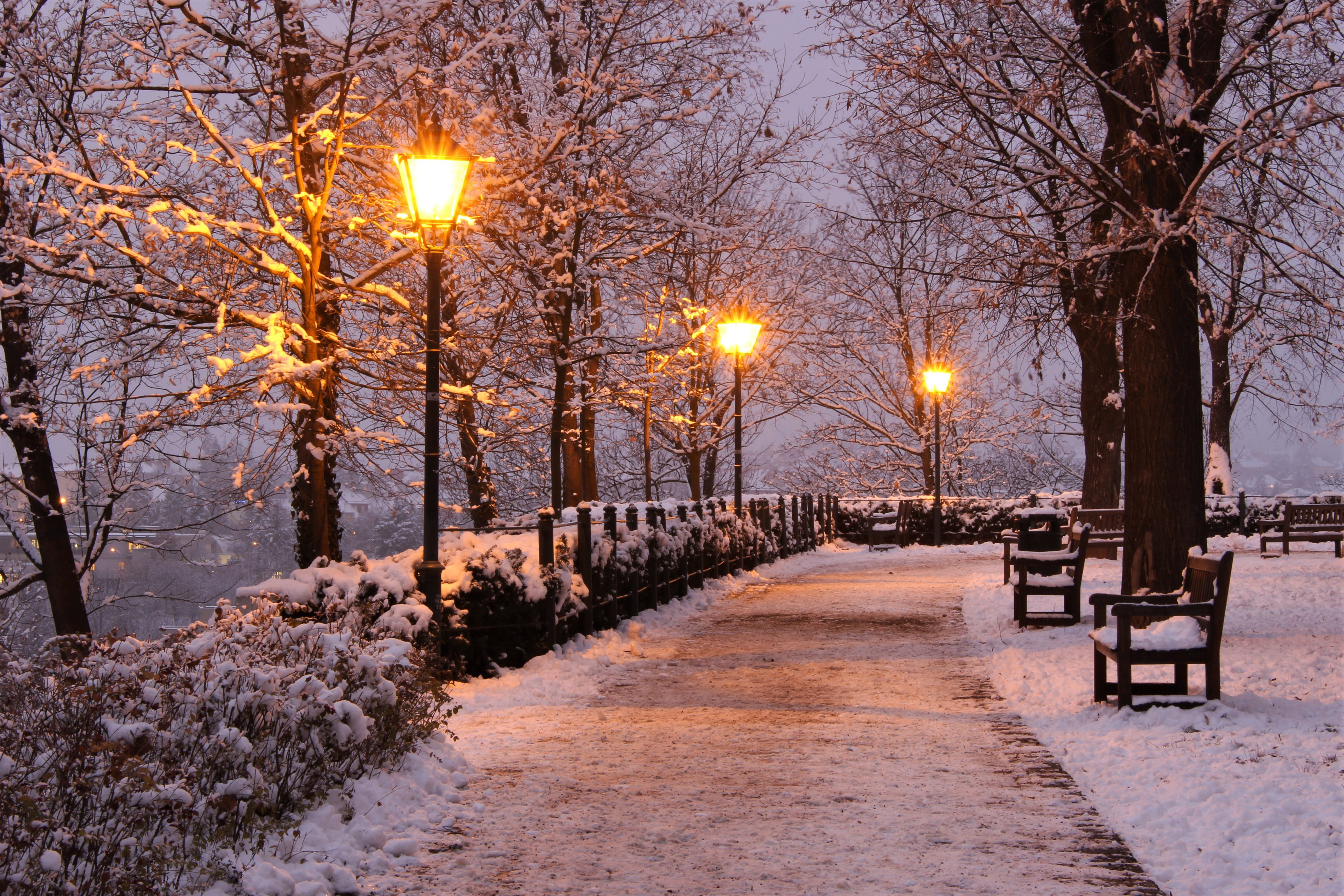 alley, lights, track, snow, Brno, Park, 4K, Czech Republic, winter, trees, benches, the evening, HD Wallpaper