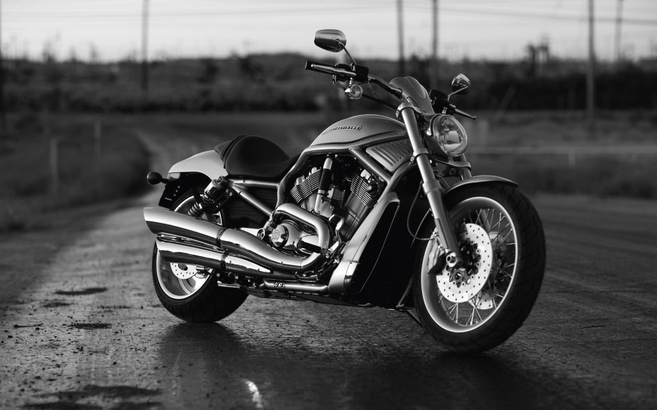 rod, Harley Davidson, harley, vrod, Motorcycles, v, 720P, black, davidson, bike, sports bike, HD Wallpaper