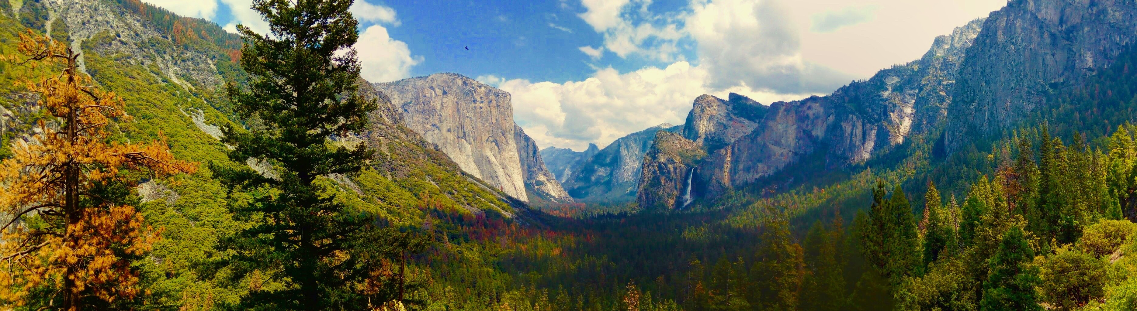background image, mountain peak, pine woodland, multi colored, coniferous tree, mountains, yosemite national park, scenics - nature, rock, pine tree, travel, HD Wallpaper