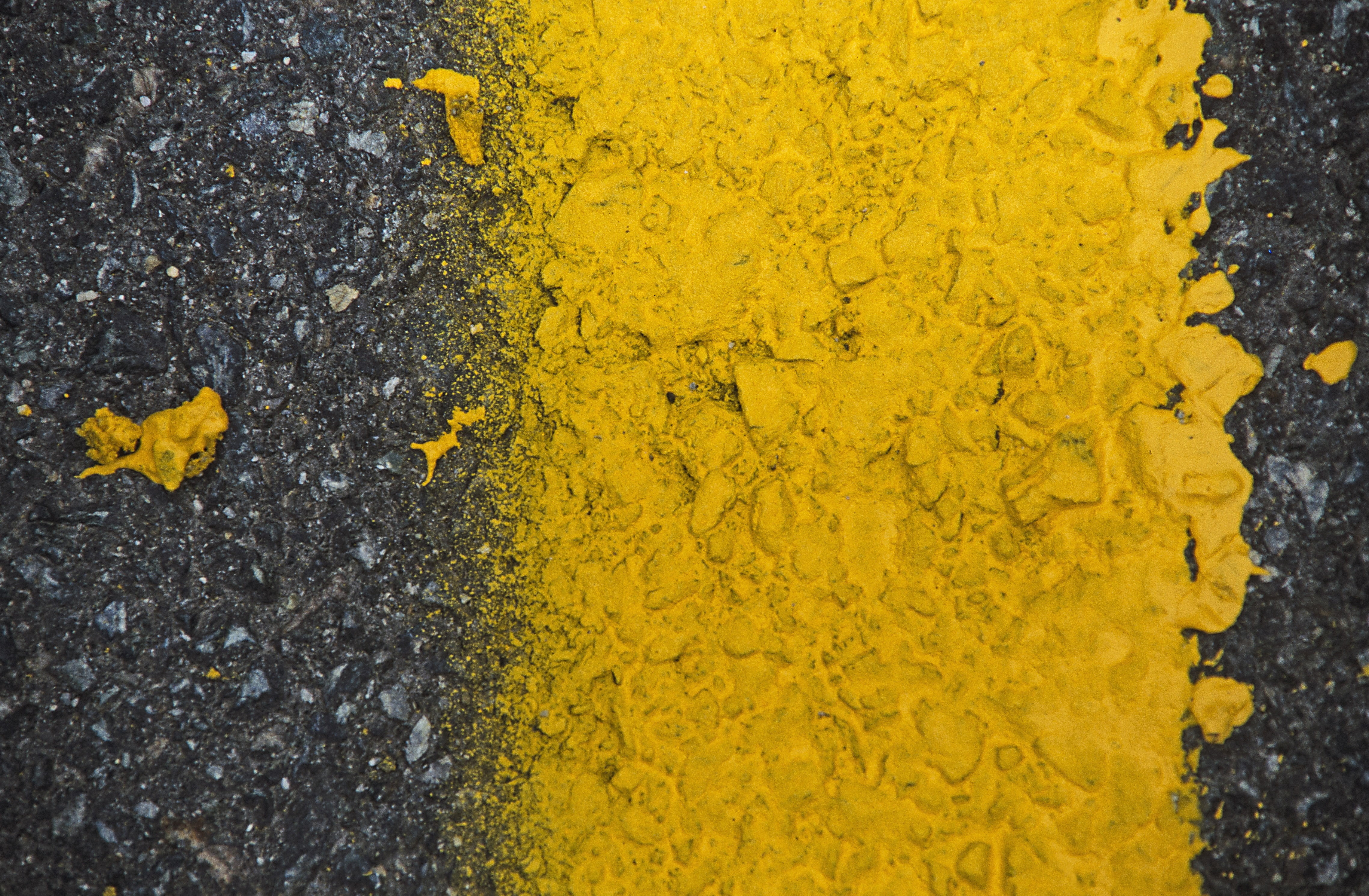 pattern, backgrounds, yellow, nature, beauty in nature, dab, directly above, high angle view, flower, textured, asphalt, painted, lichen, day, flowering plant, HD Wallpaper