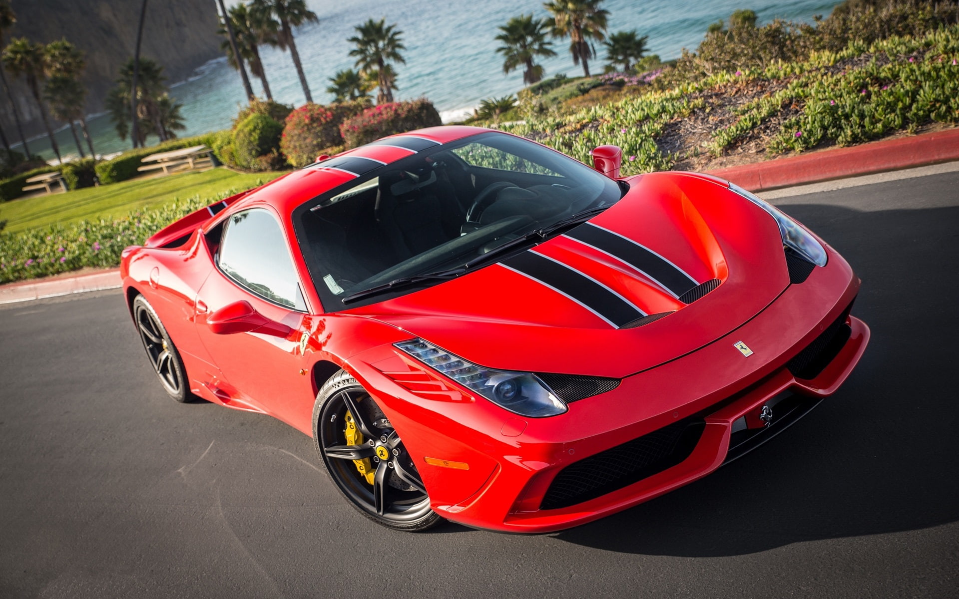 Trees, speciale, 1080P, Palm, Red, Ferrari, Supercar, HD Wallpaper