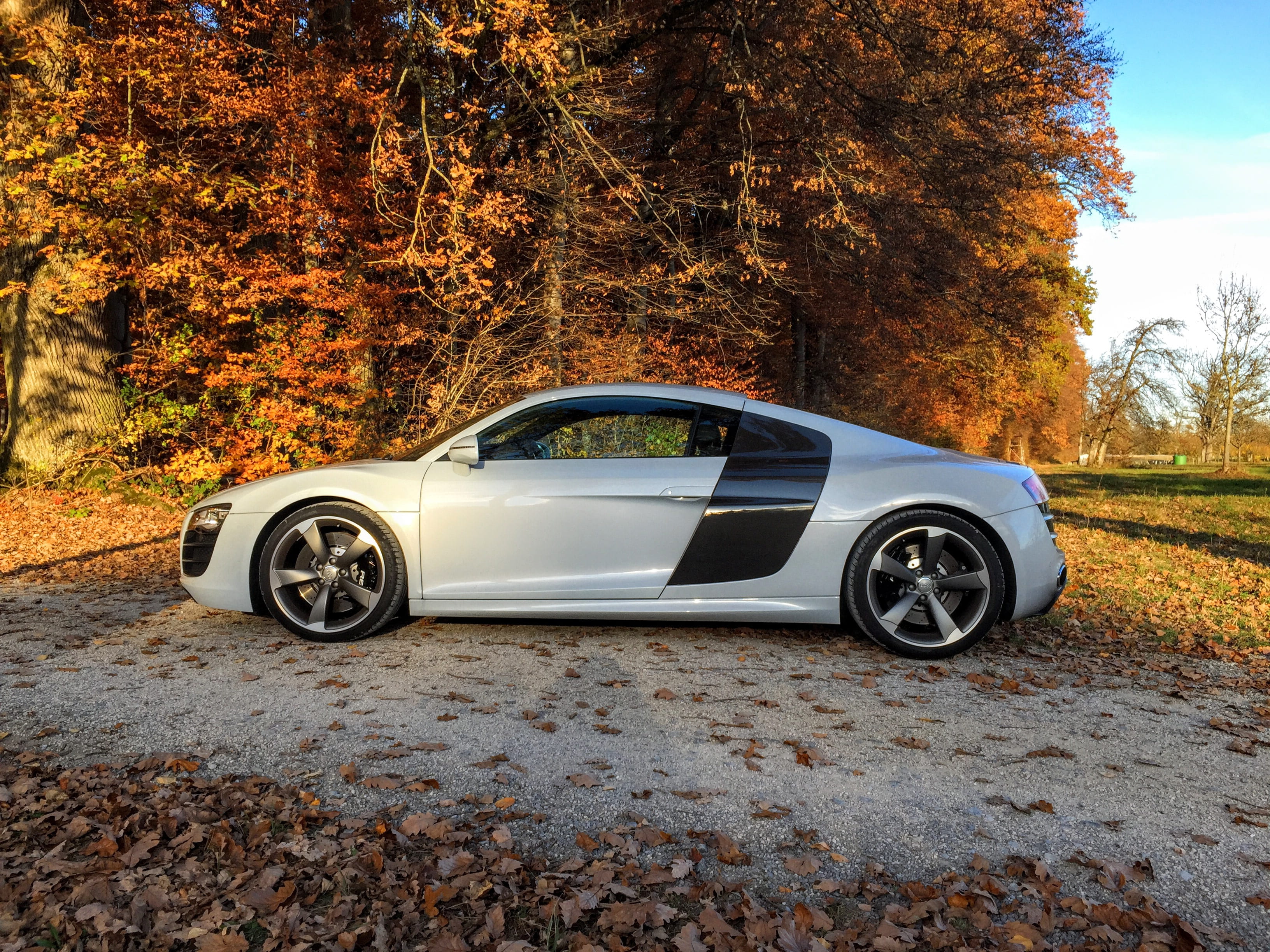 motor vehicle, autumn, change, stationary, luxury, coupe, plant, vehicles, r8, orange color, plant part, black, retro styled, reflexes, day, super sports car, HD Wallpaper