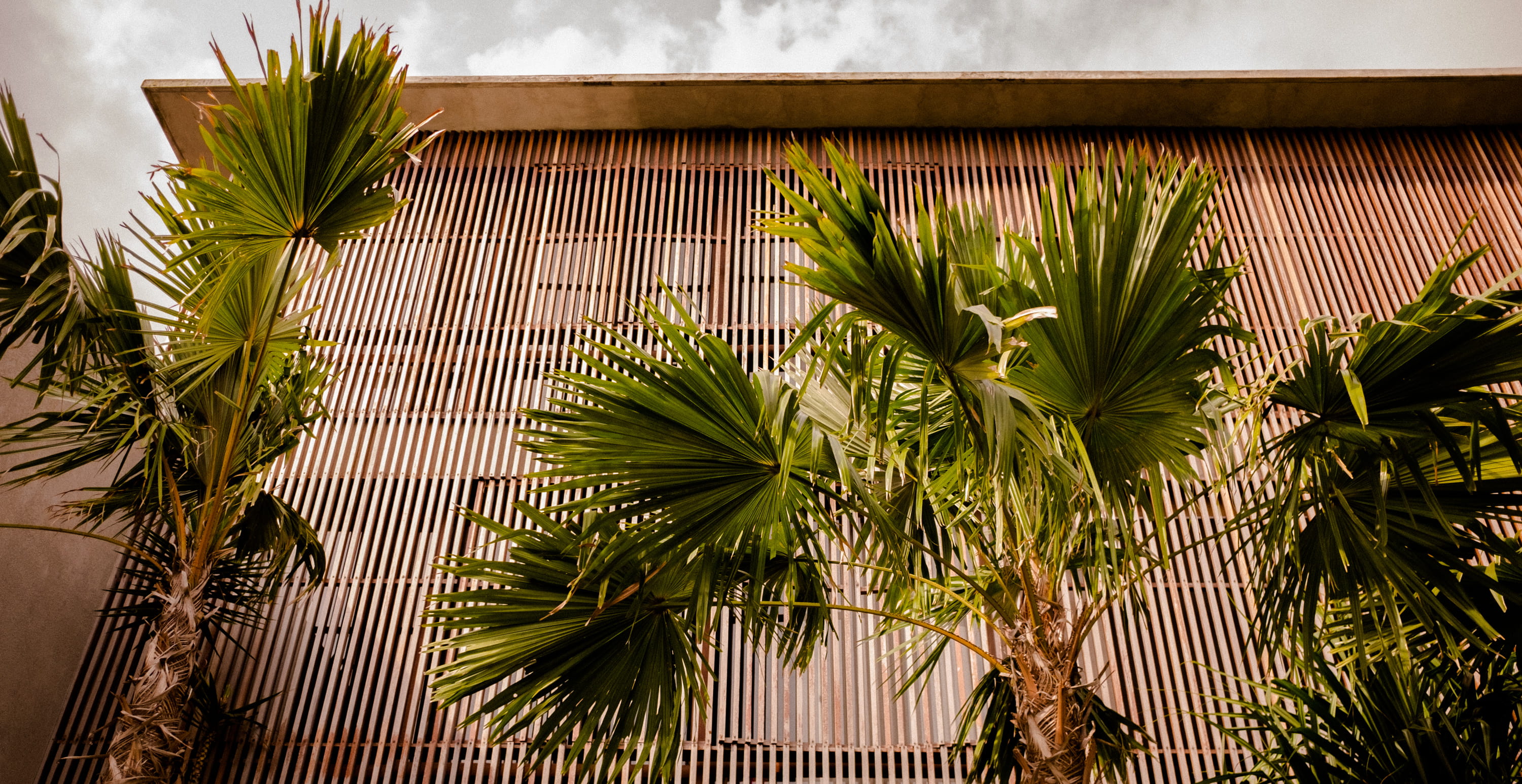 day, green color, tree, tropical climate, palms, theloft, palm leaf, wood, desing, building exterior, no people, built structure, 2K, bingin beach, growth, HD Wallpaper