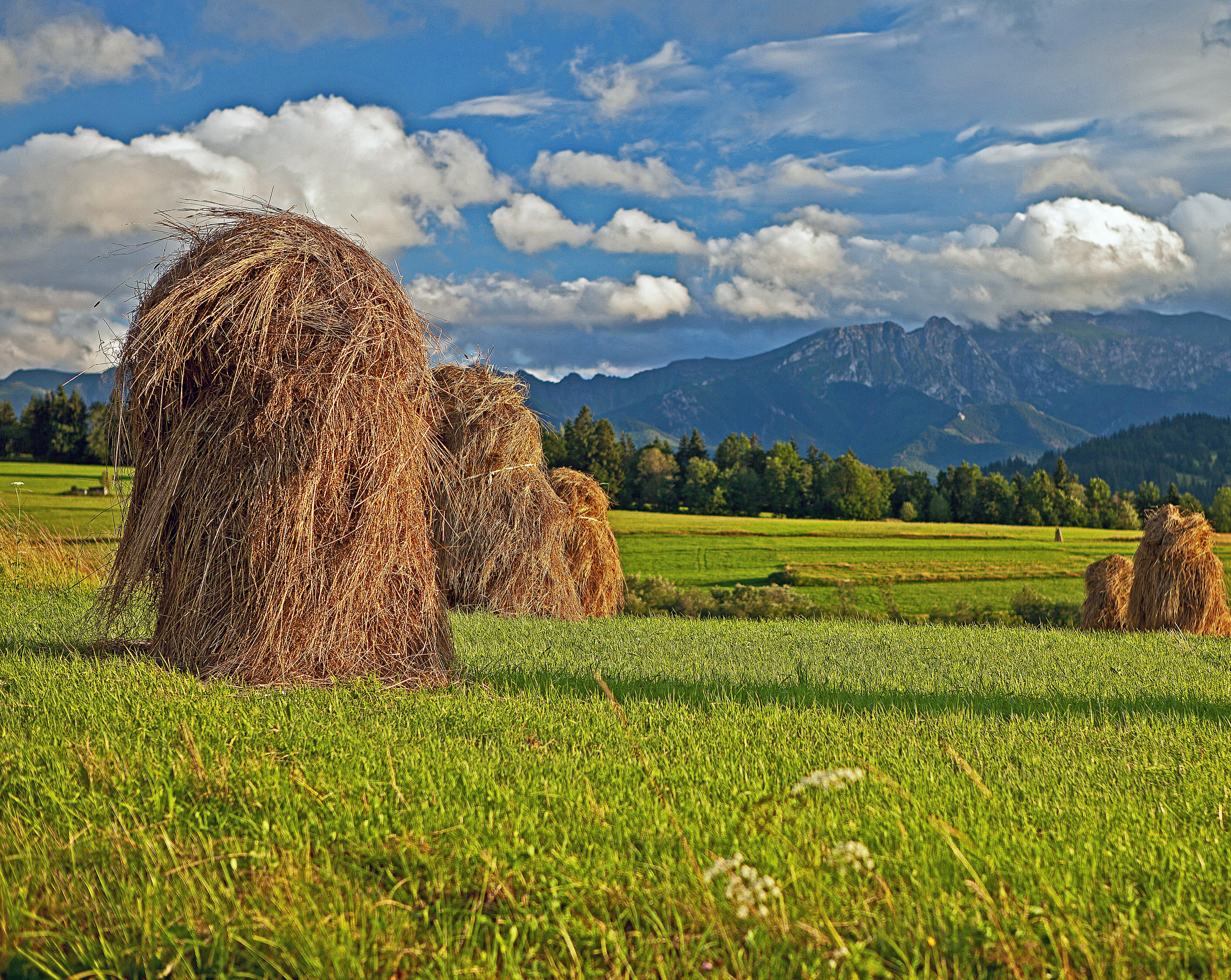 life in the countryside, summer, after work, a view of the mountains, nature, field, tatry, mountains, day, sky, kopka, podhale, poland, rural Scene, agriculture, HD Wallpaper