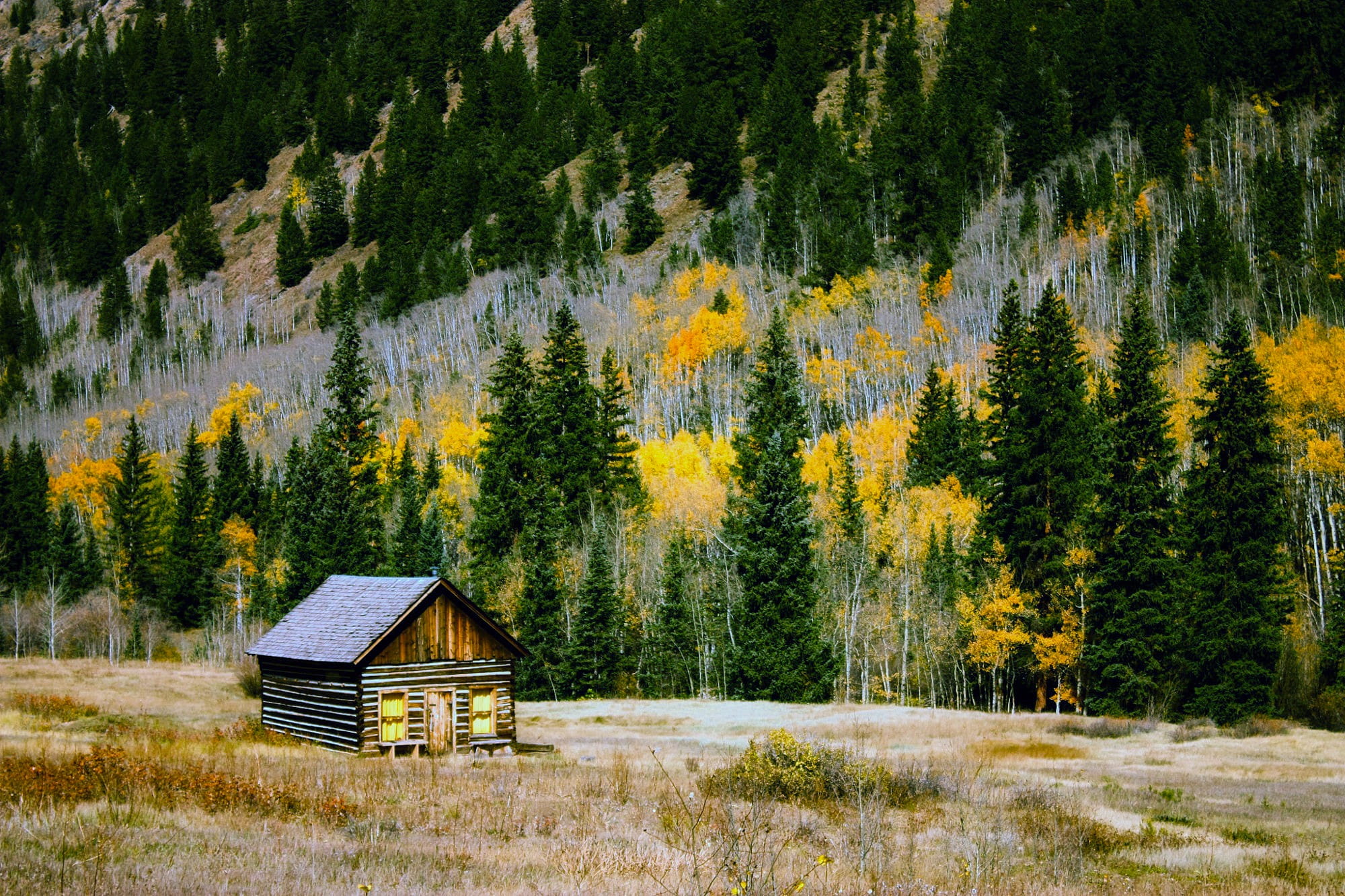built structure, landscape, 1080P, non-urban scene, pine tree, pine woodland, mountains, rural, hdr, scenic, coniferous tree, architecture, wilderness, HD Wallpaper