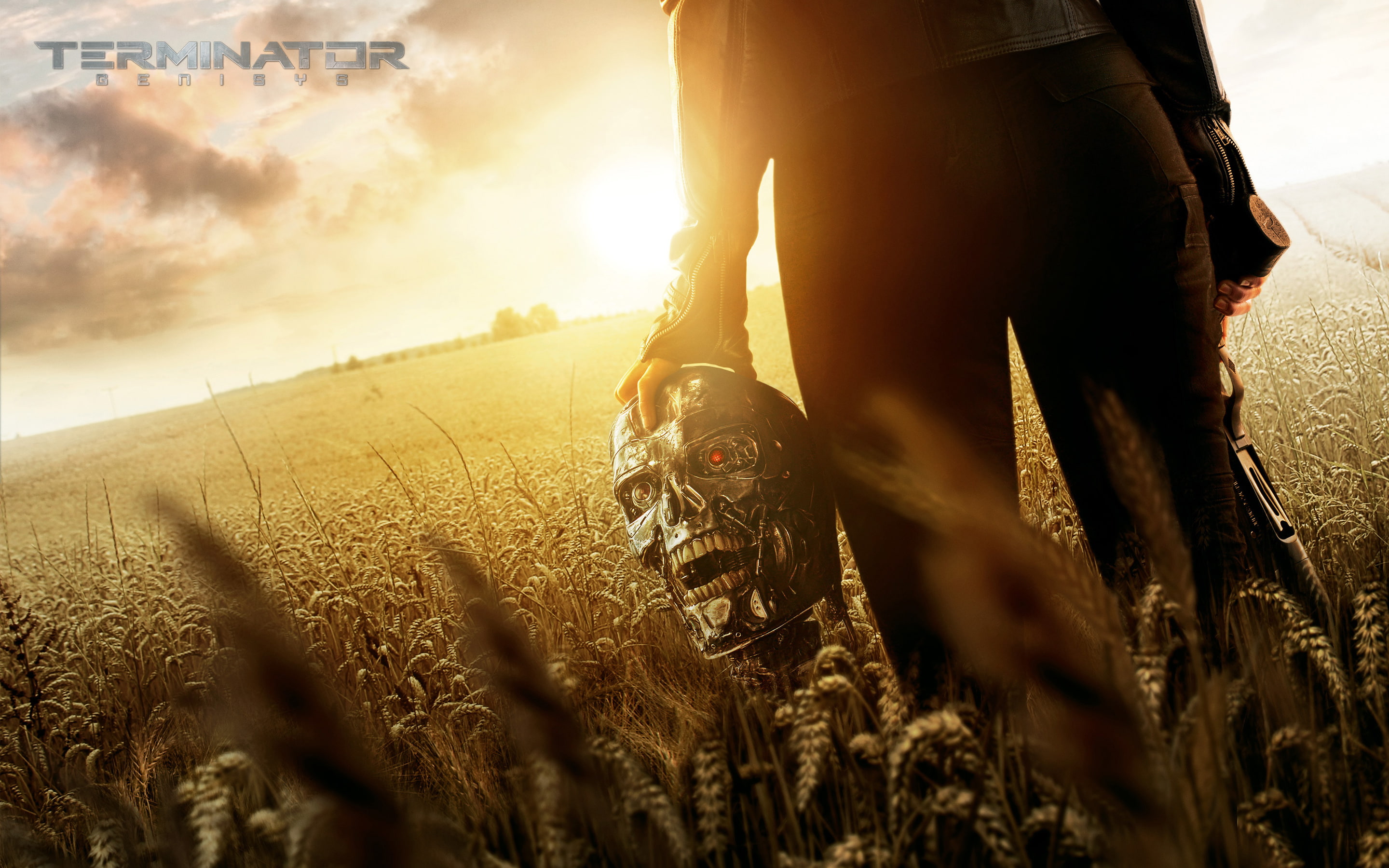 sunset, adult, pets, domestic, one person, vertebrate, hand, field, poster, pet owner, sky, terminator, nature, 2K, selective focus, land, Terminator: Genesis, HD Wallpaper