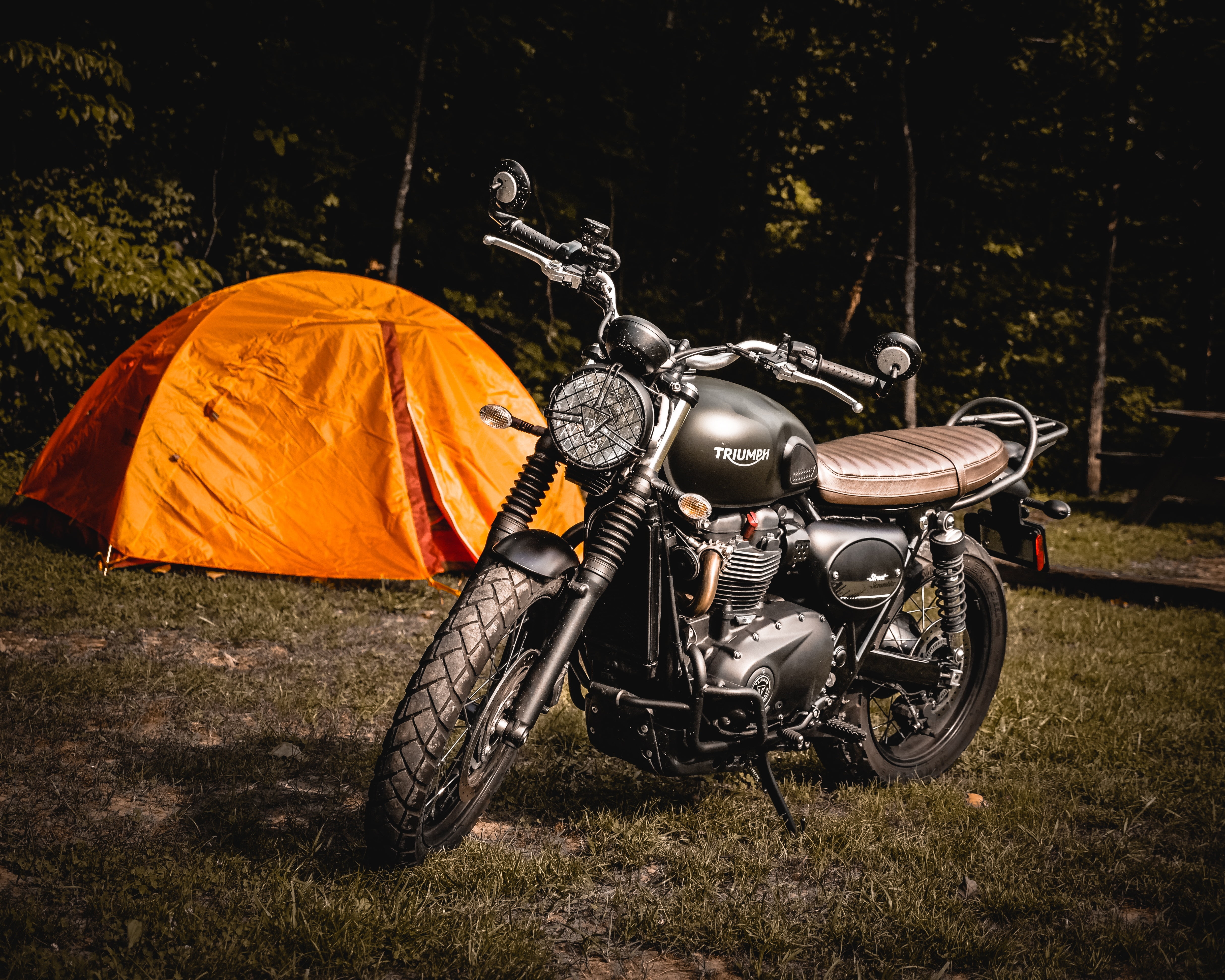 engine, retro Styled, nature, leisure Activity, plant, lifestyles, land, biker, black, 4K, cruiser, mode of transportation, people Traveling, recreational Pursuit, HD Wallpaper