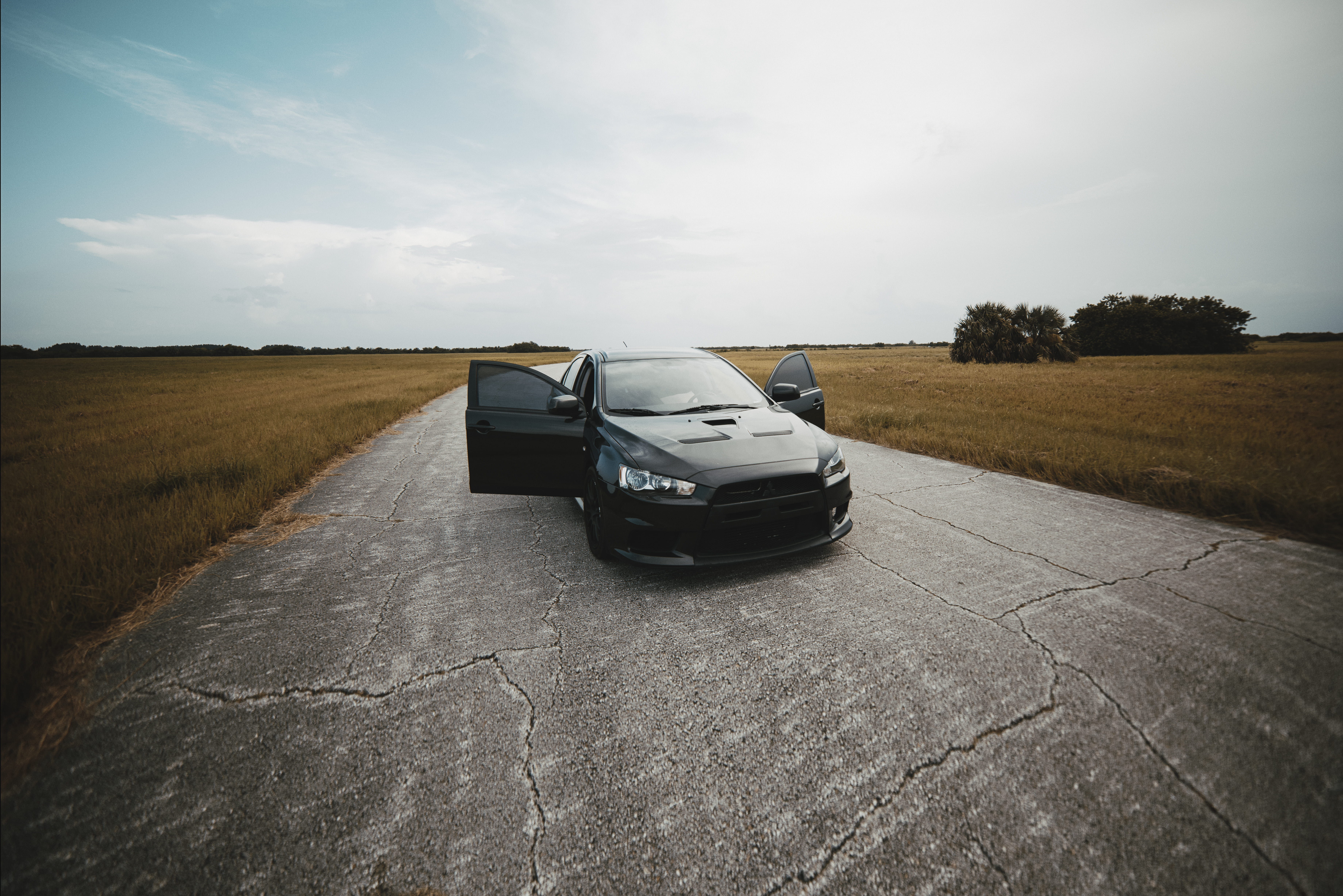 luxury, plant, environment, sky, day, field, mitsubishi, cracked, transportation, opened, land vehicle, black, nature, wheel, road, outdoors, car, land, HD Wallpaper