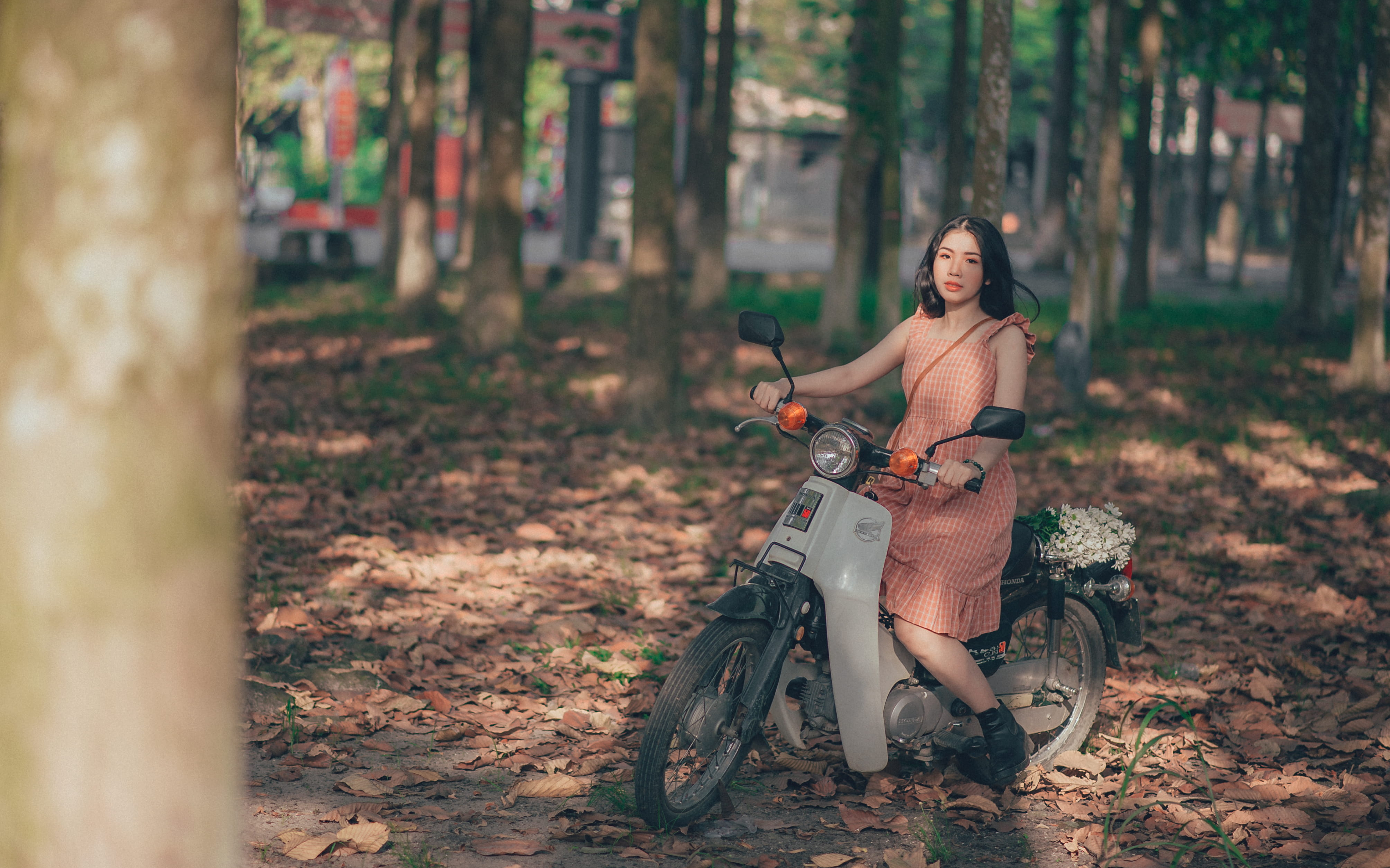 sitting, young adult, biker, young women, land, tree, leaves, women, autumn, beautiful people, beautiful woman, scooter, trees, girl, person, hairstyle, HD Wallpaper