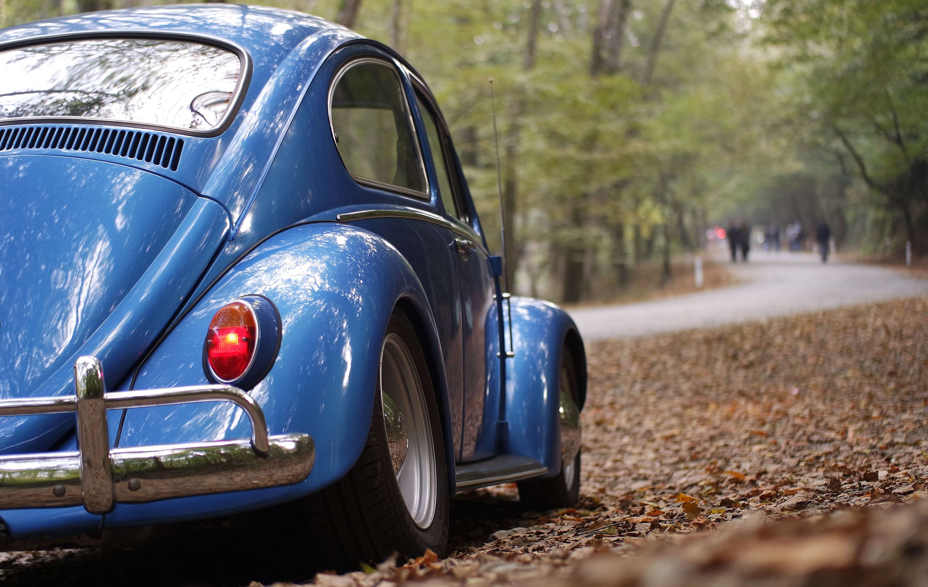 dry leaves, transportation system, bumper, transportation, motor vehicle, roadway, road, vintage, classic, volkswagen, pathway, tail light, land vehicle, HD Wallpaper