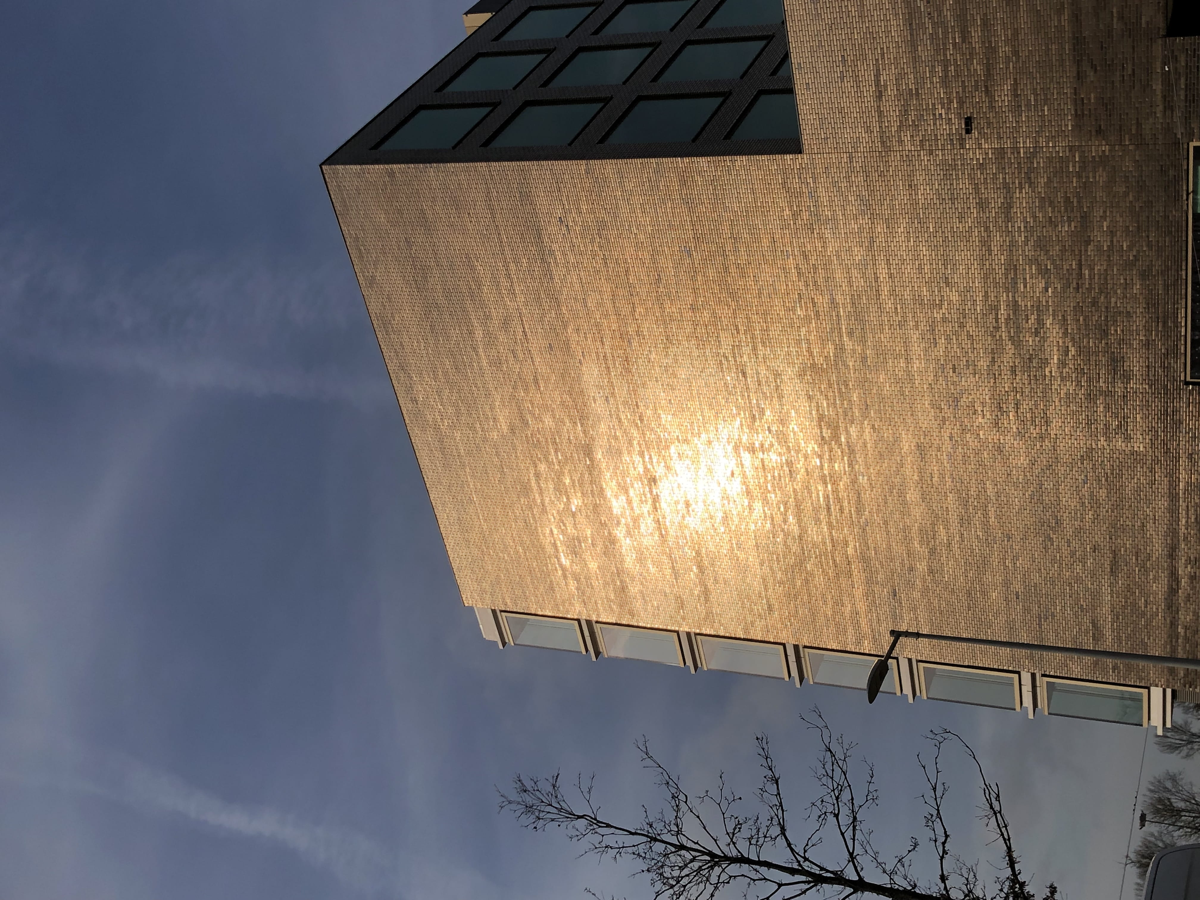 tree, outdoors, building exterior, sky, illuminated, sunlight, office building, automobile, built structure, vehicle, amsterdam, corner, nature, wall, urban, HD Wallpaper