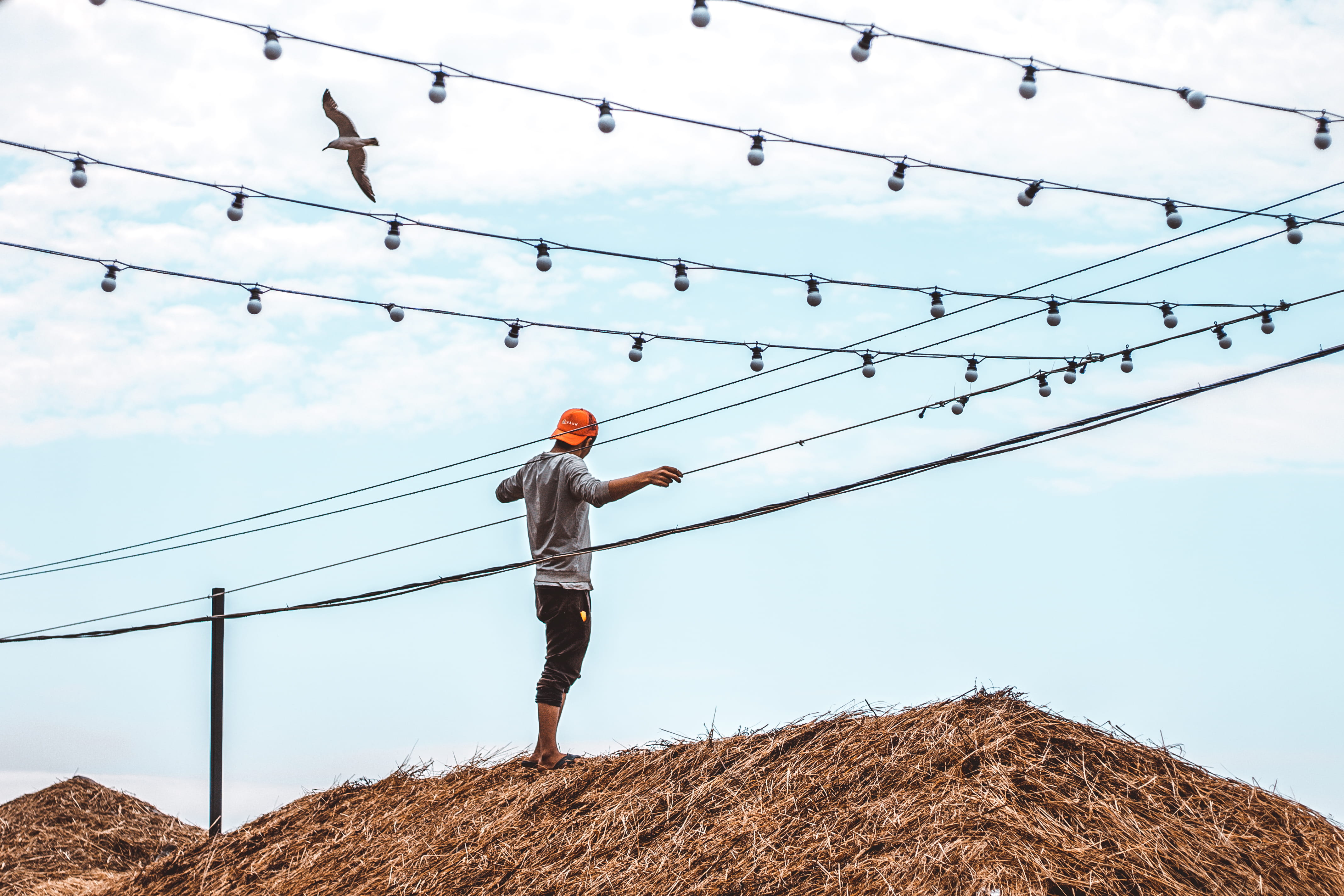 human arm, nature, men, electricity, rear view, connection, vertebrate, lamp, guy, full length, cloud - sky, real people, cable, one person, street photo, HD Wallpaper