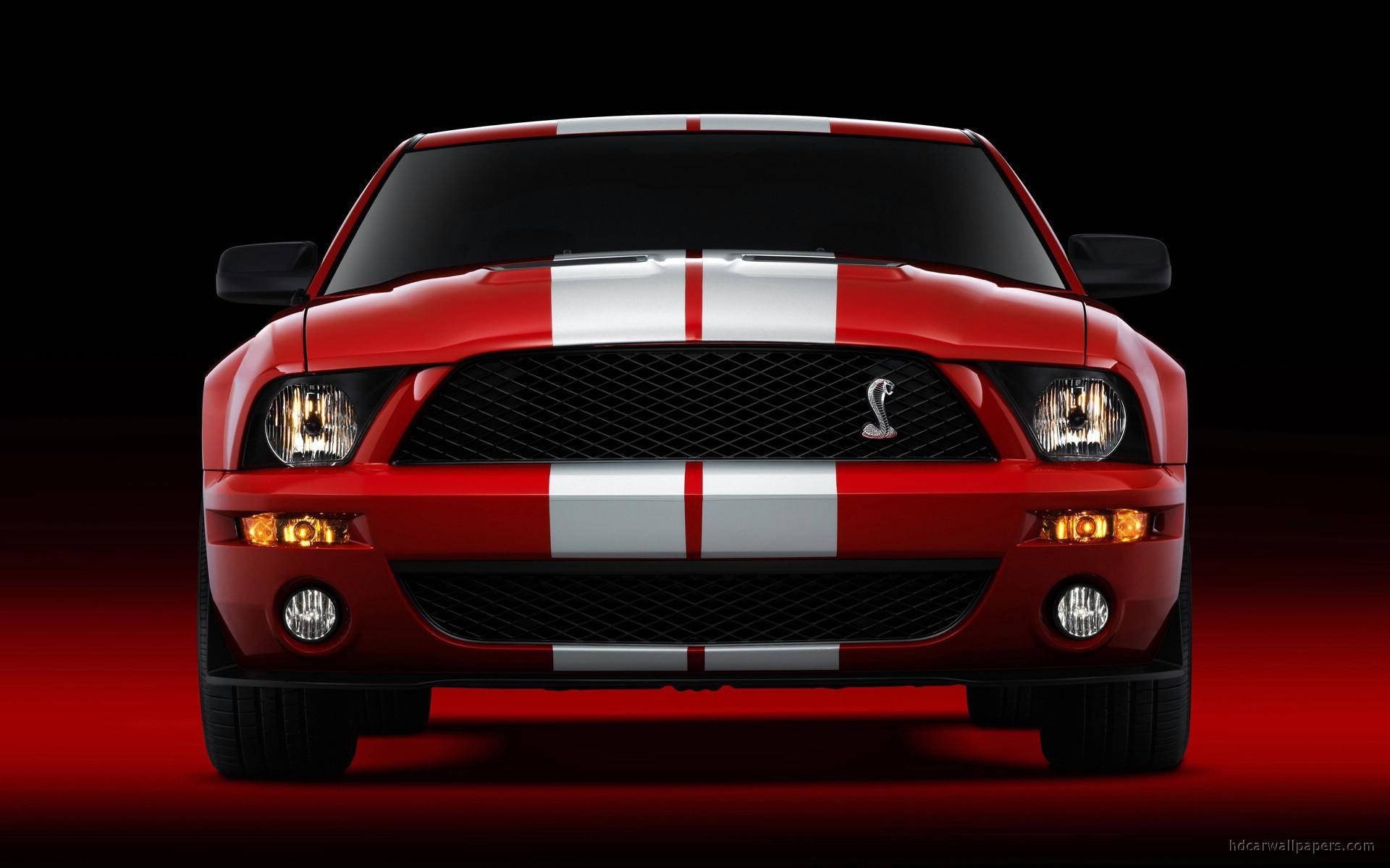 car, white, cobra, gt500, cars, gt, red, ford, shelby, mustang, 1080P, HD Wallpaper