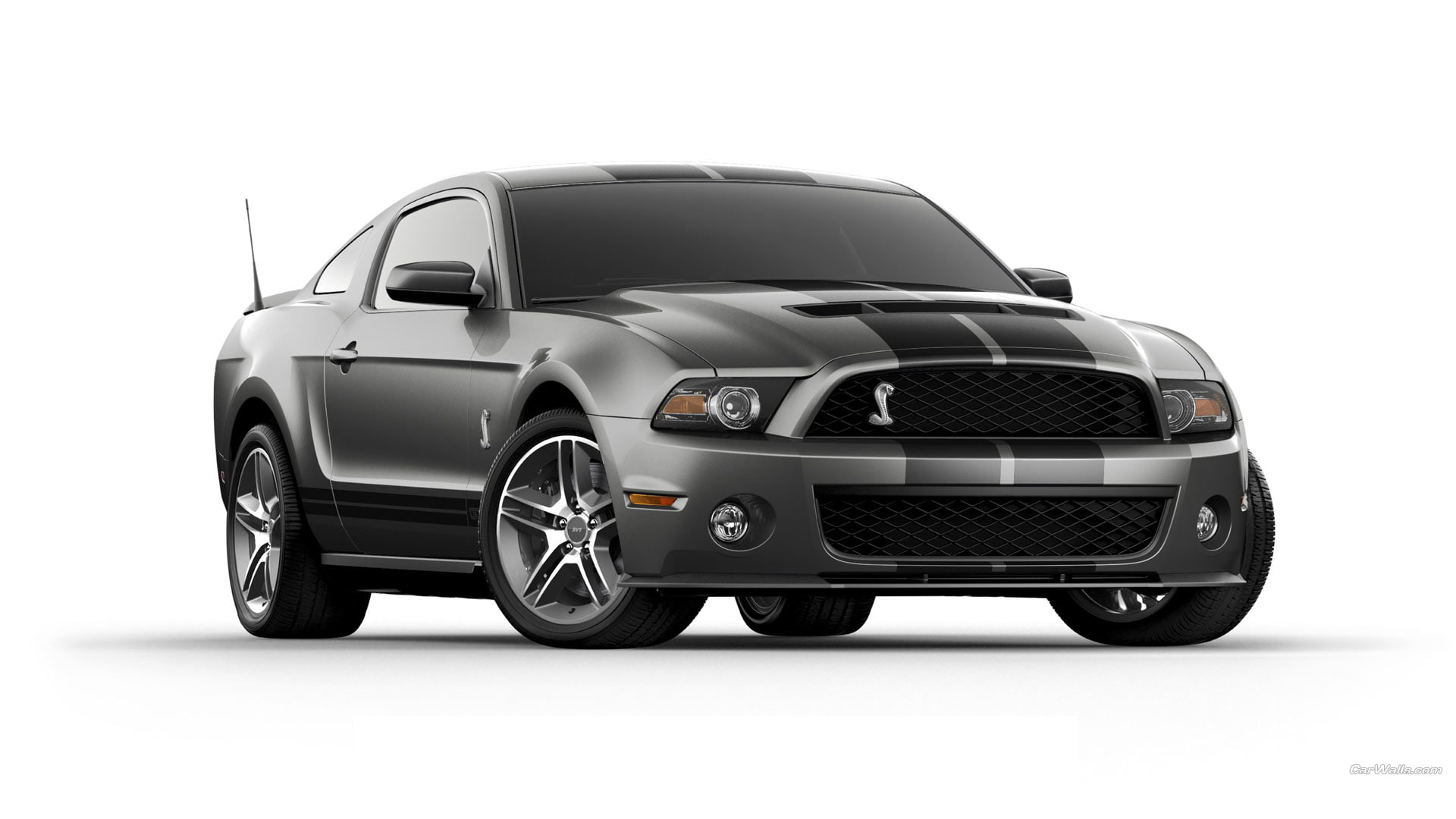 cars, 1080P, shelby, cobra, hd, mustang, ford, HD Wallpaper