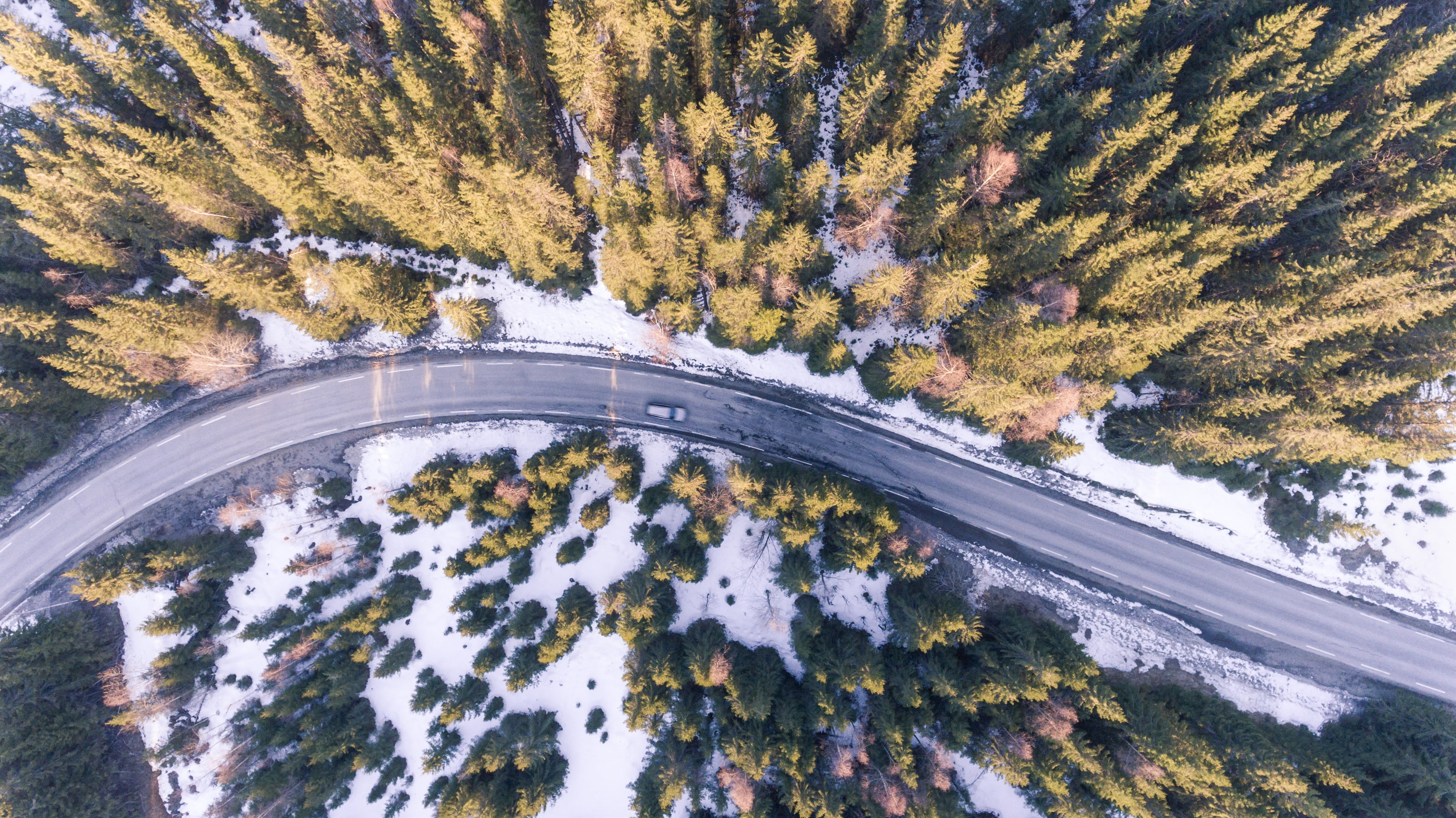 car, day, beauty in nature, winding, change, road, weather, plant, adventure, photography, street, no people, transportation, seasonal, car driving, snow, HD Wallpaper