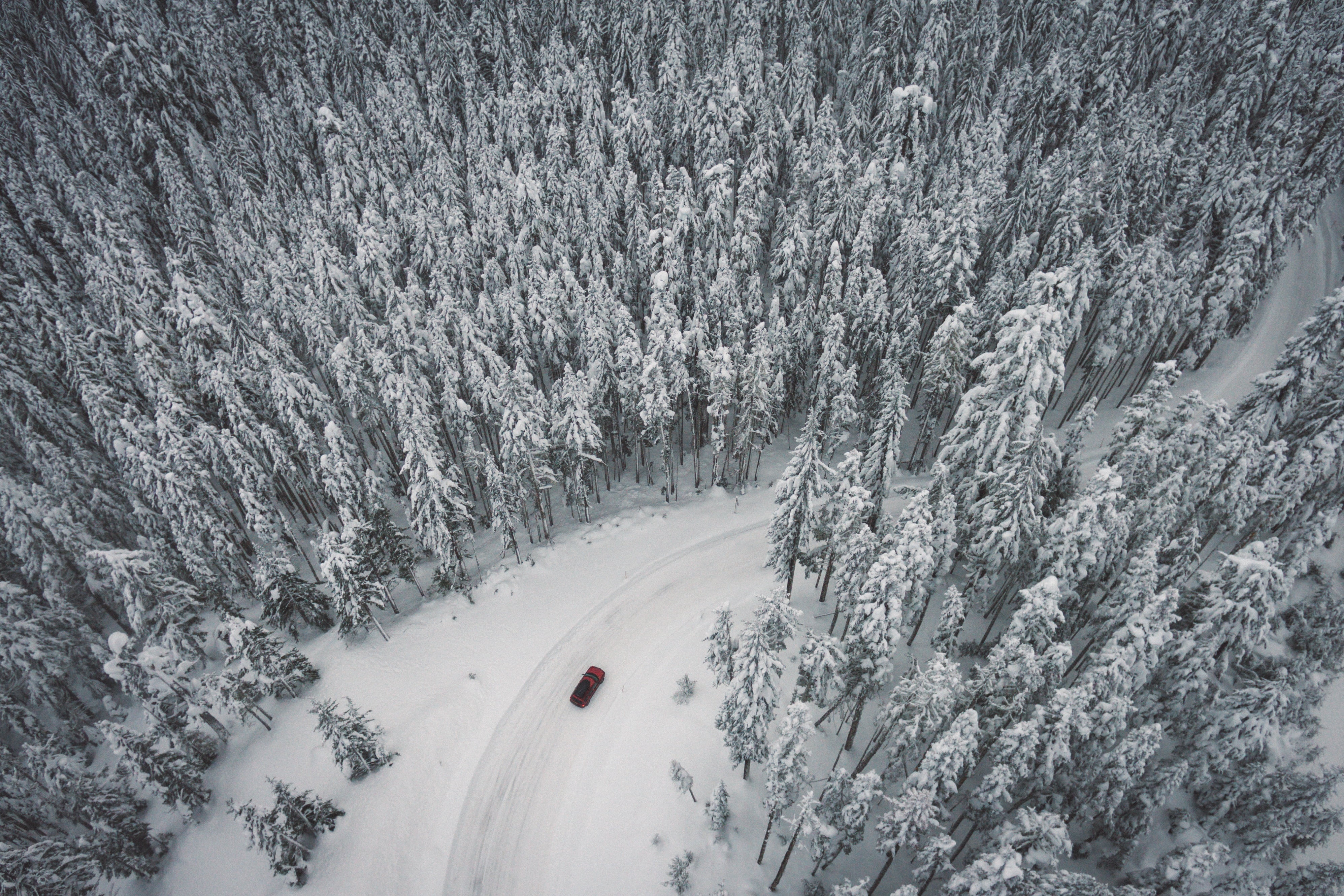 beauty in nature, surrounded, winter, cold, white, adventure, environment, 4K, winter sport, plant, view, outdoors, eye, snowing, ice, curved, car, vehicle, HD Wallpaper