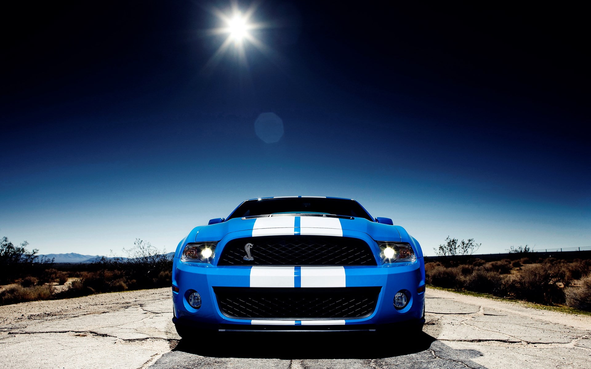 1080P, ford mustang shelby cobra gt 500, HD Wallpaper