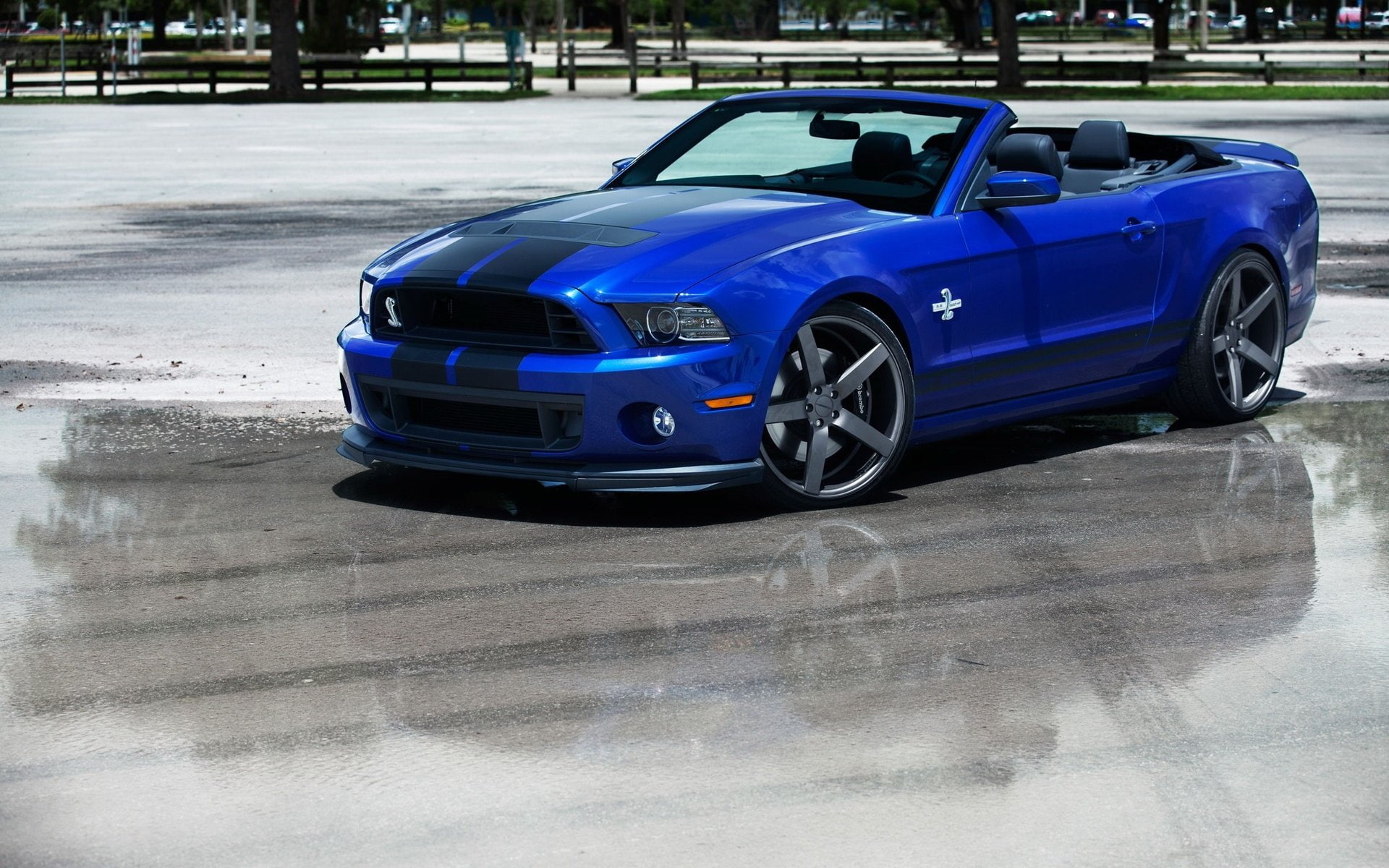 1080P, Ford Mustang Shelby Cobra GT 500, Ford, HD Wallpaper