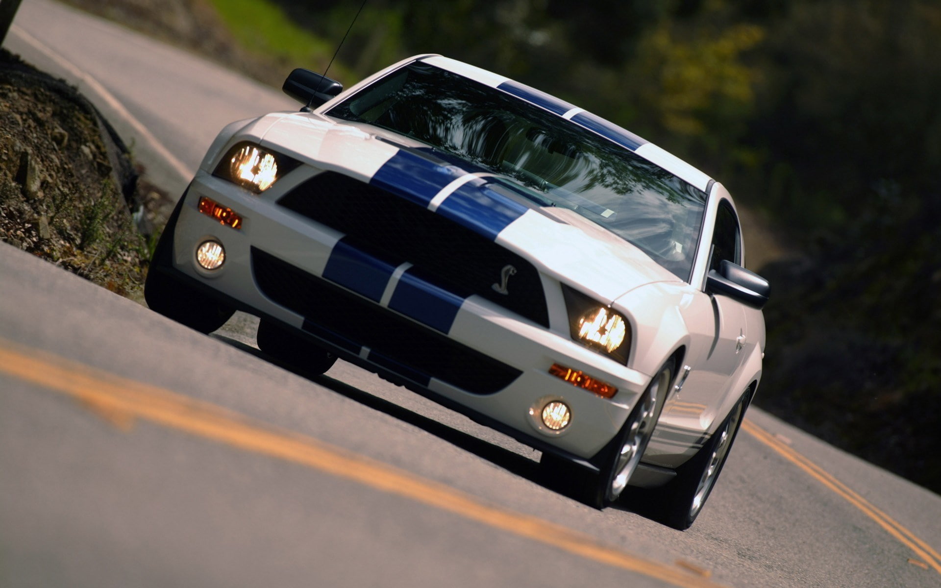 1080P, ford mustang shelby cobra gt 500, HD Wallpaper