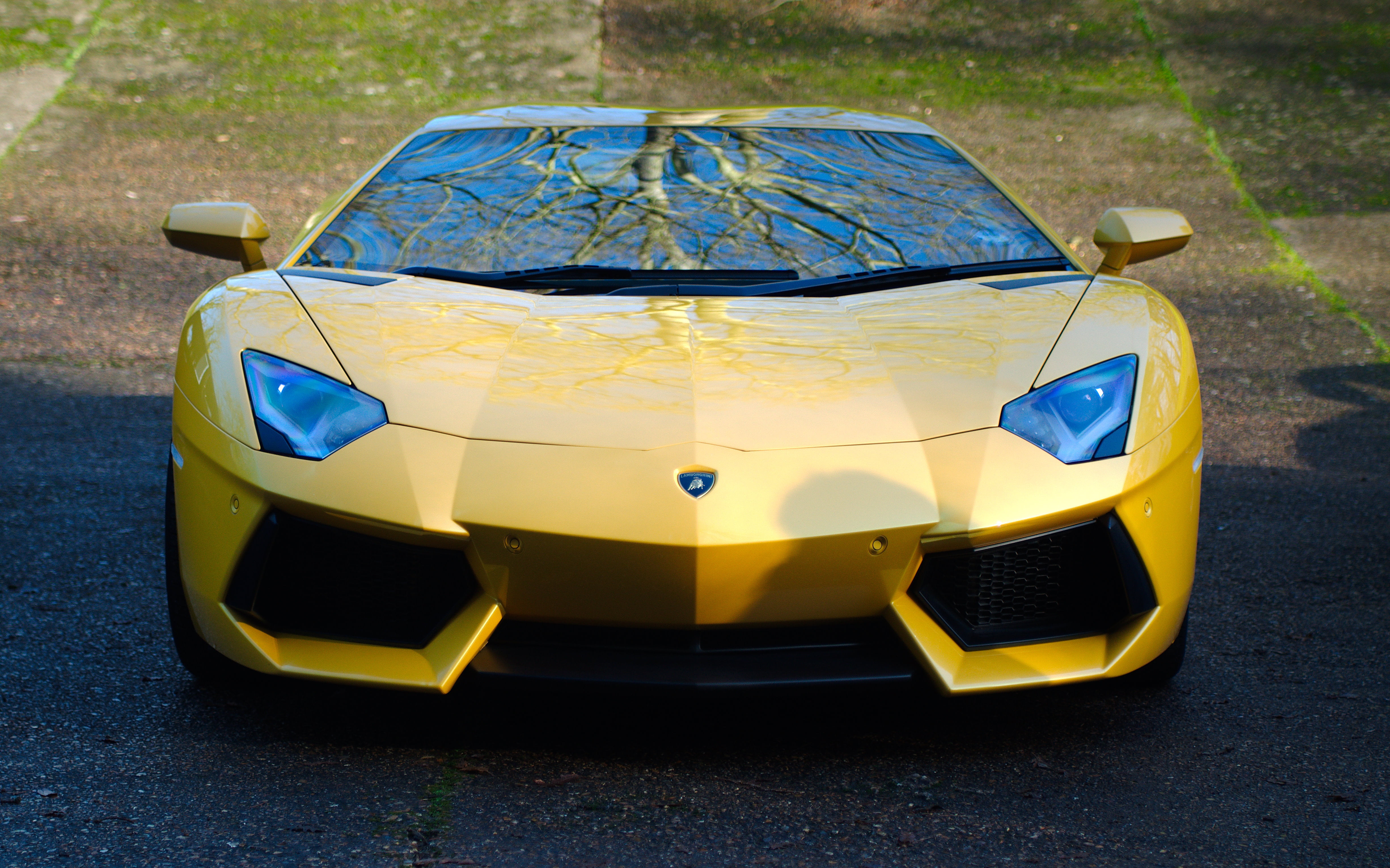 focus on foreground, technology, shiny, field, lp700-4, city, modern, yellow, coupe, nature, blue, new, engine, speed, day, mode of transportation, motor Vehicle, HD Wallpaper