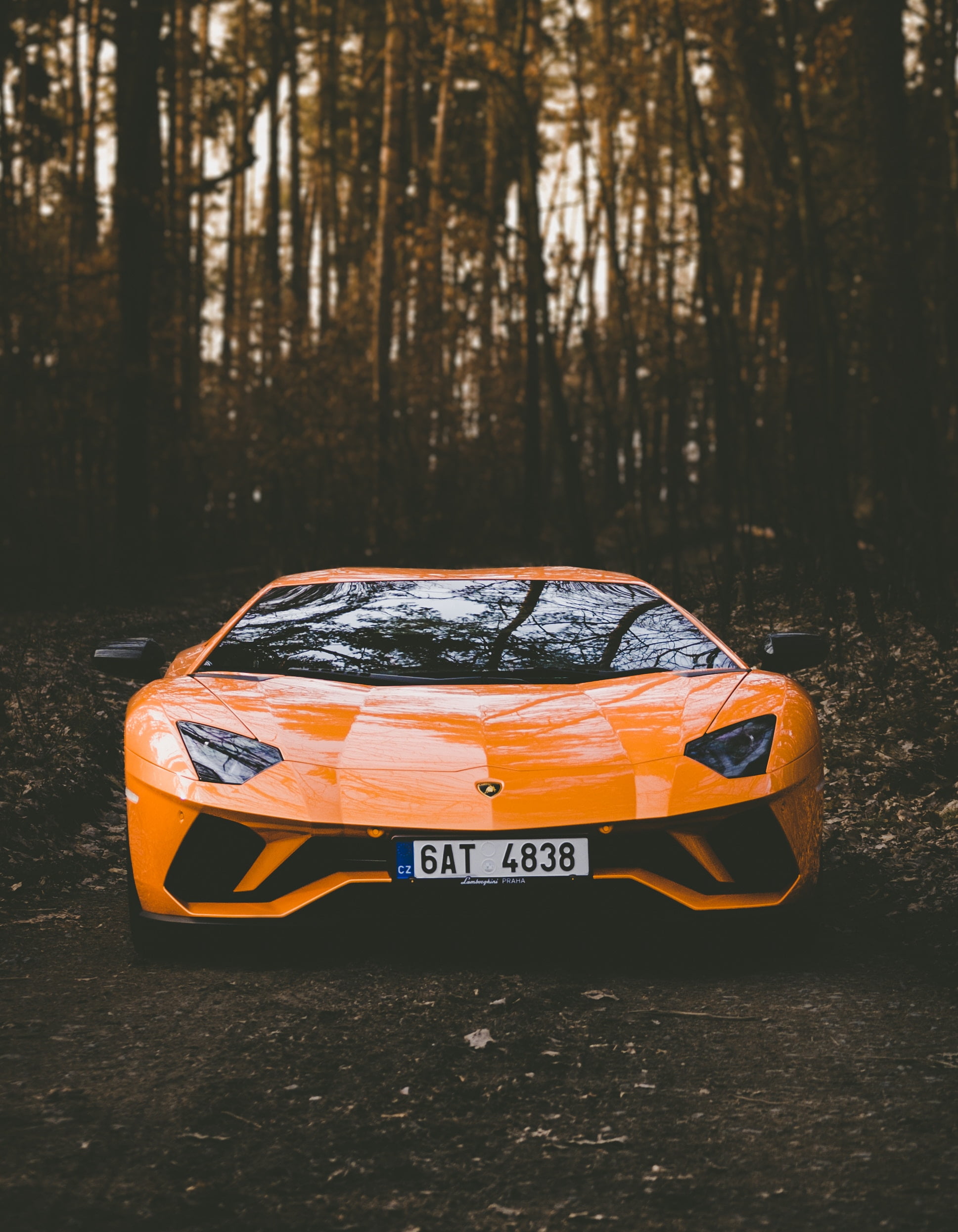 orange color, sport car, motor vehicle, transportation, day, land, tree, toy, nature, lamborghini, text, style, outdoors, trunk, toy car, orange, front view, Phone HD Wallpaper