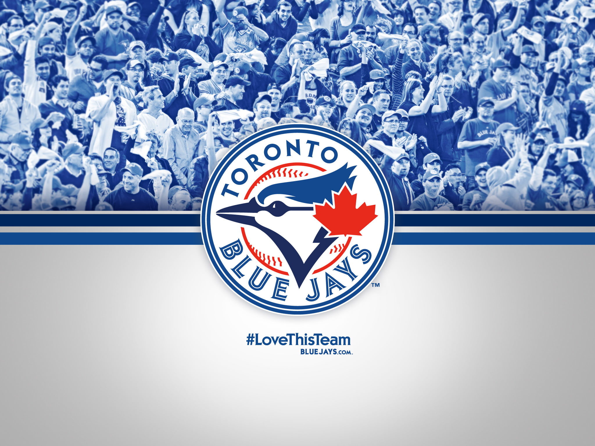 toronto, baseball, 1080P, jays, mlb, blue, HD Wallpaper