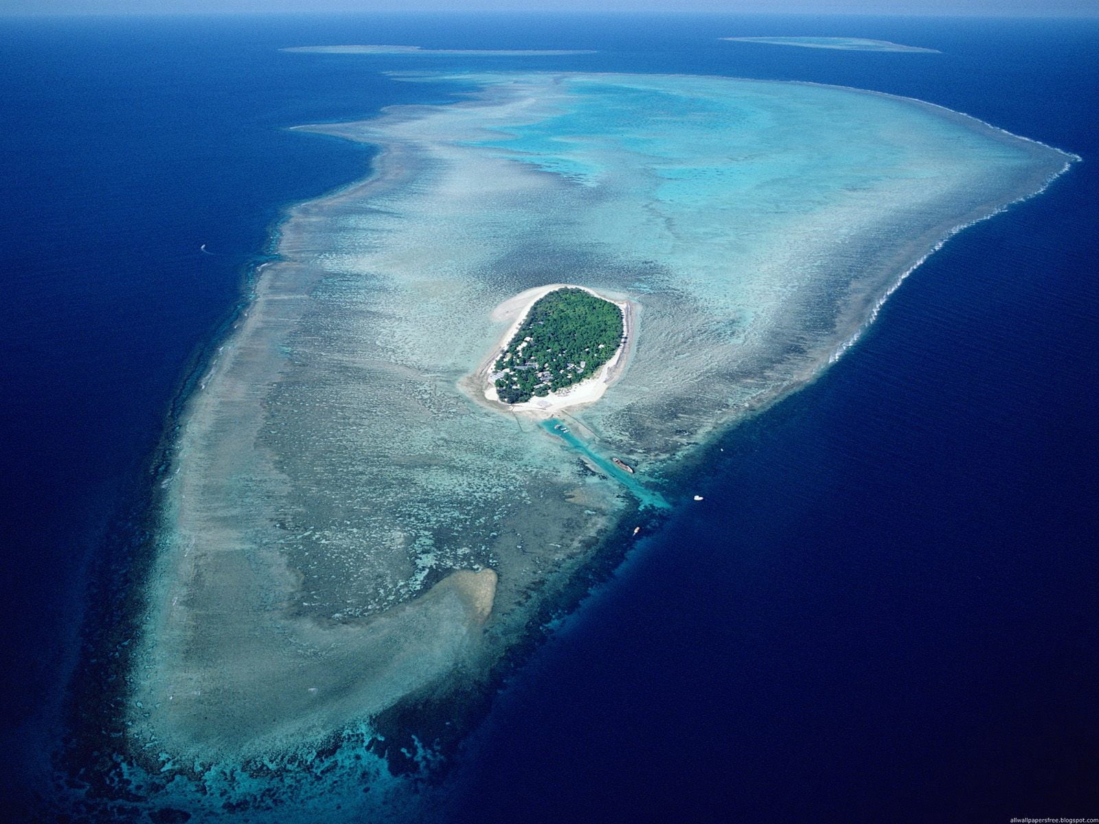 beauty In Nature, travel Destinations, undersea, hawaii Islands, green, water, nature, one animal, animals in the wild, scenics, island, turquoise colored, HD Wallpaper