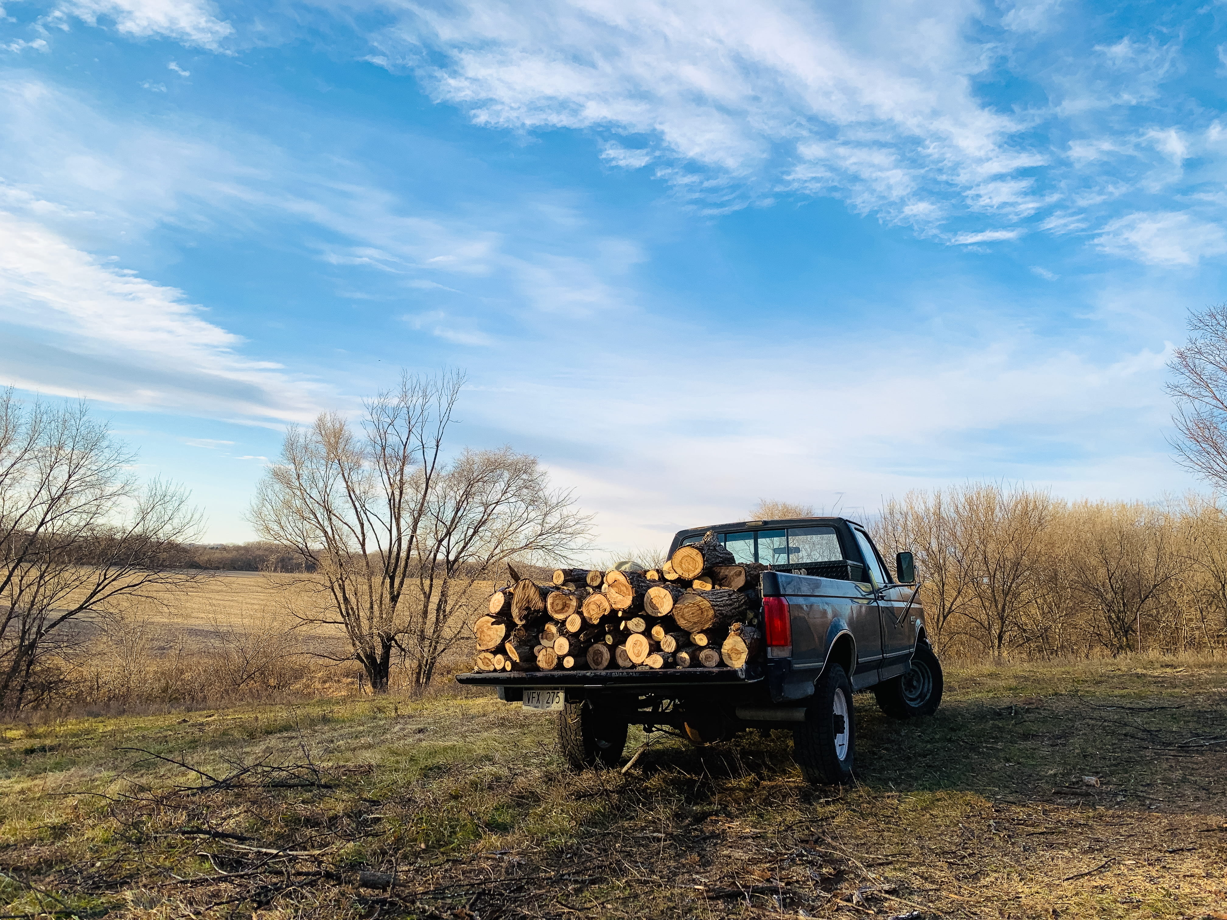tree, christmas, pickup, 4K, black, offroad, outdoors, desktop, plant, rustic, bare tree, logs, land vehicle, car, download, pickup truck, scenics - nature, HD Wallpaper