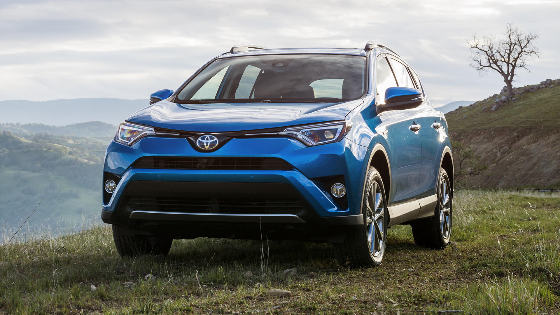 hatchback, car, rav, 2016, blue, hybrid, toyota, nature, blue car, toyota rav4 hybrid, 1080P, HD Wallpaper