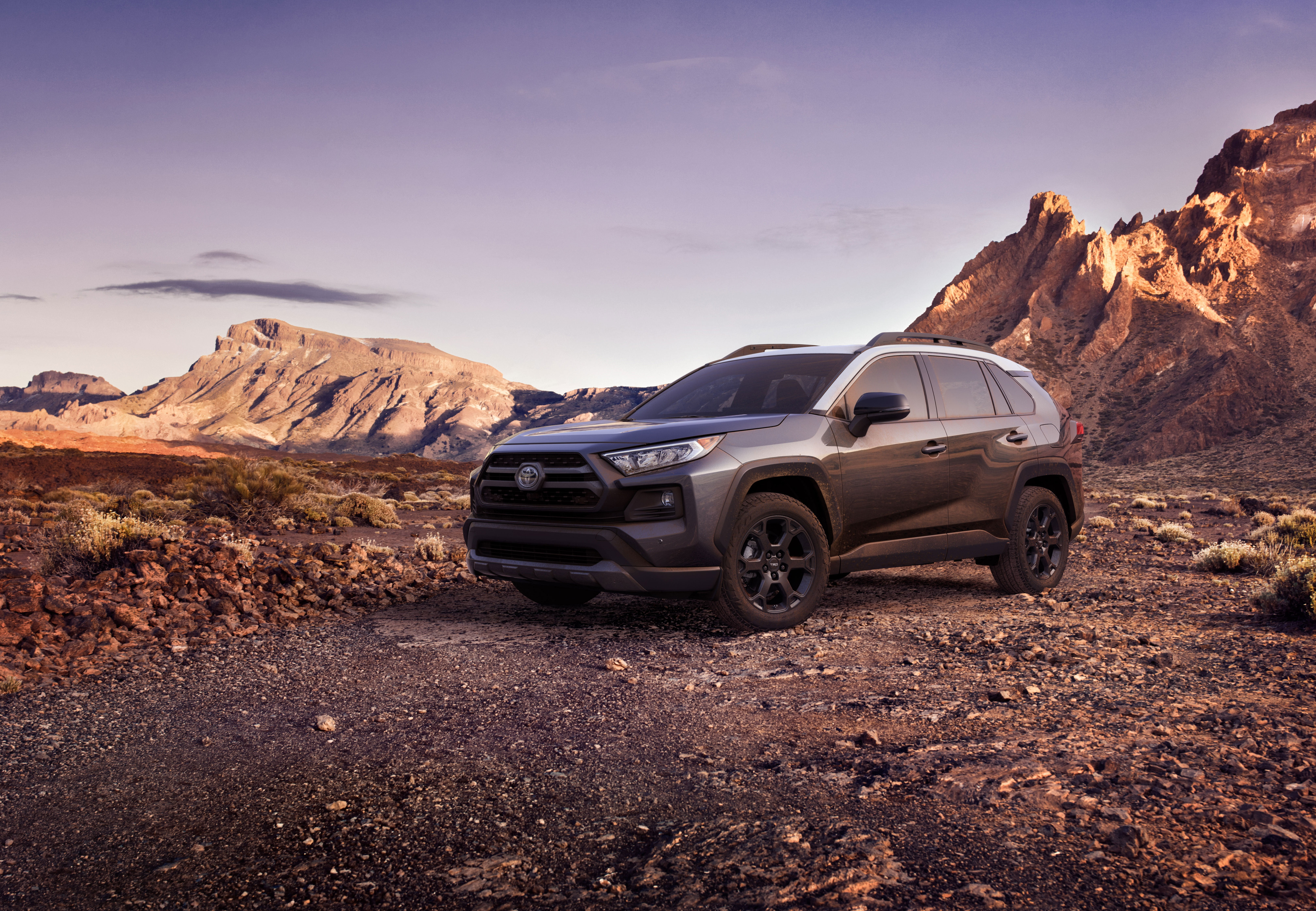 SUV, Toyota RAV4, Silver Car, Vehicle, Toyota, 5K, Car, HD Wallpaper