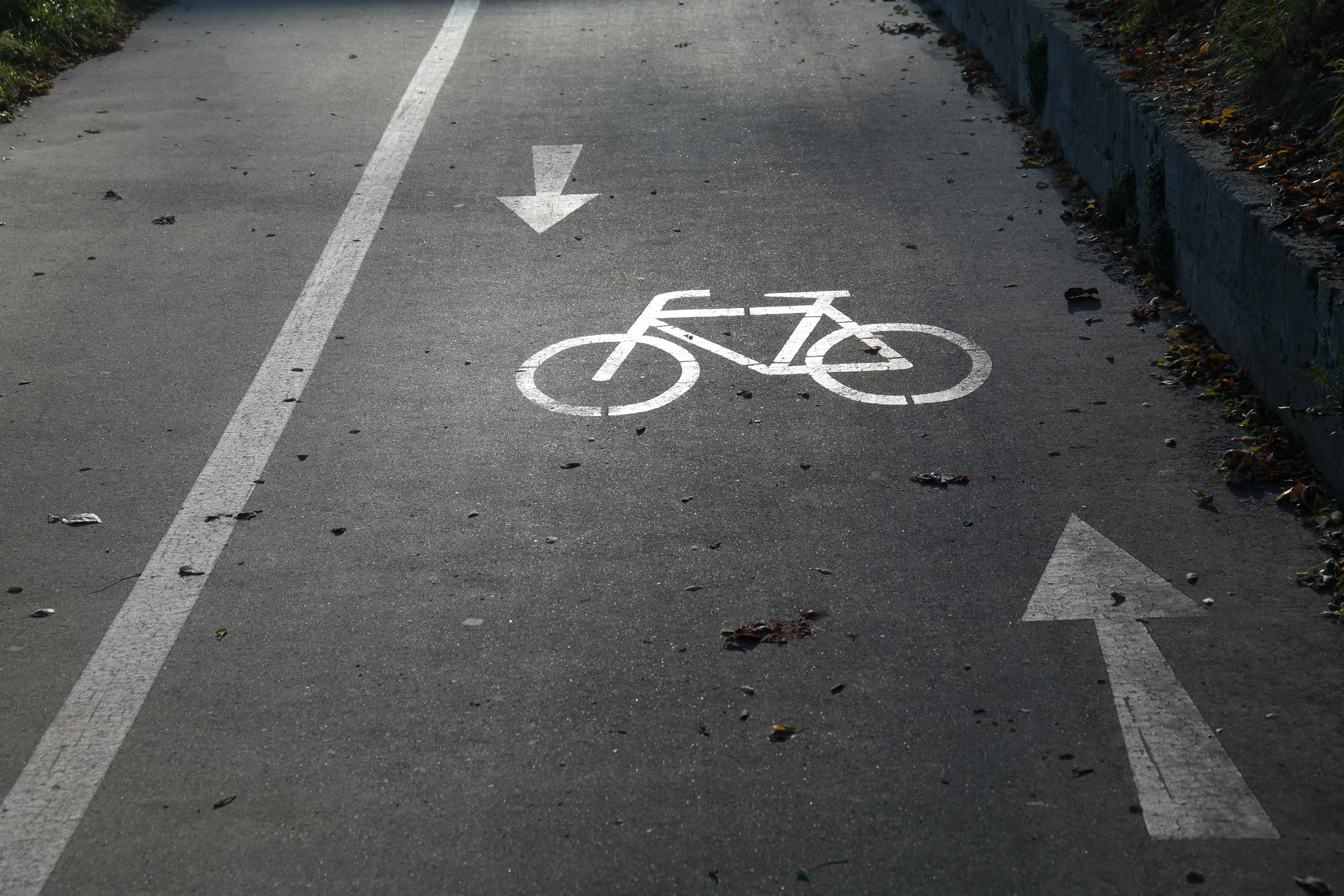 street, gauge, sign, bike, tar, high angle view, city, daytime, the way forward, symbol, transportation, bicycle path, day, asphalt, mark, road markings, HD Wallpaper