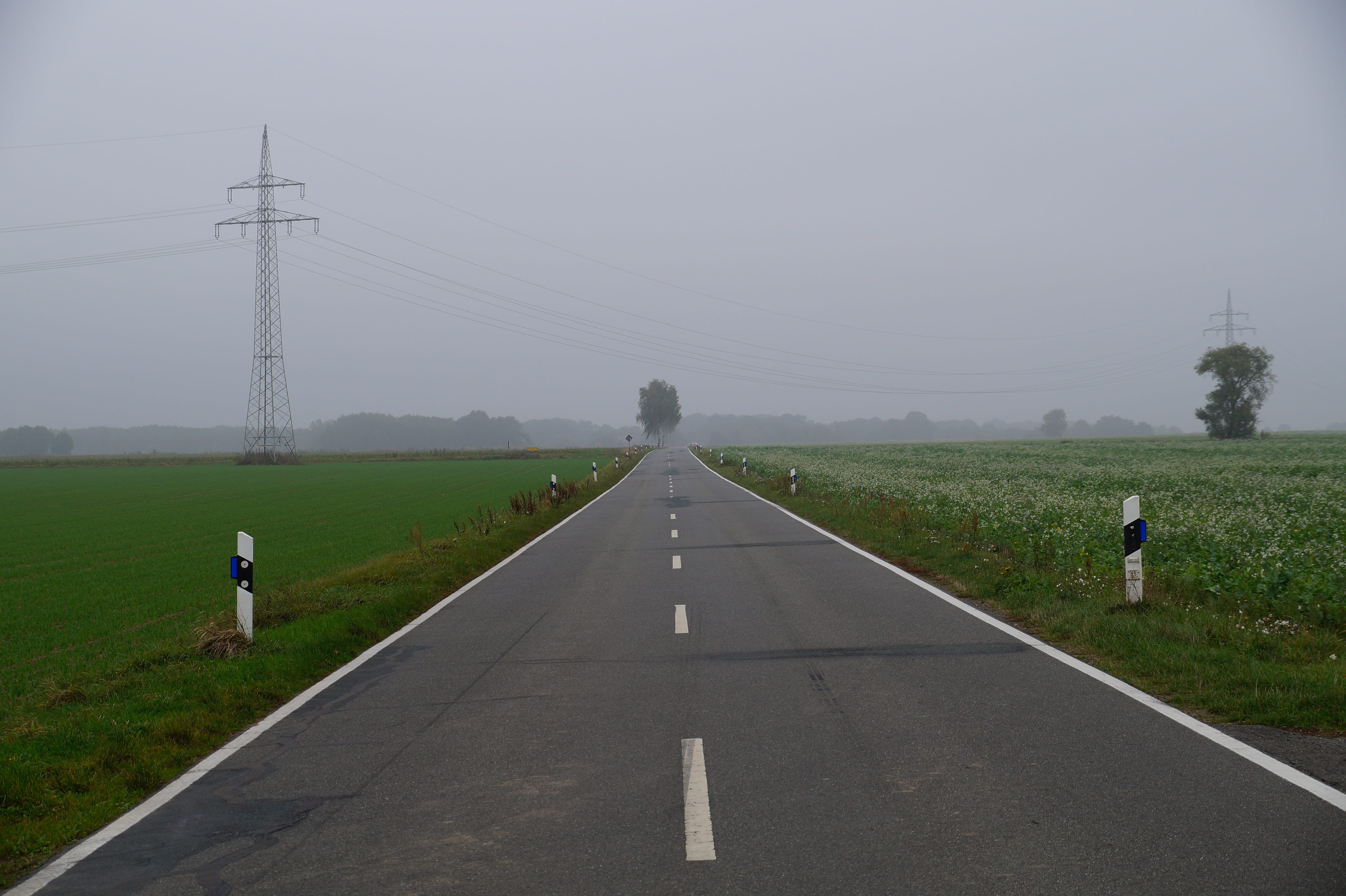 plant, lonely, traffic, landscape, connection, grass, rear view, outdoors, road marking, direction, day, scenic, road, lifestyles, marking, 5K, country road, HD Wallpaper