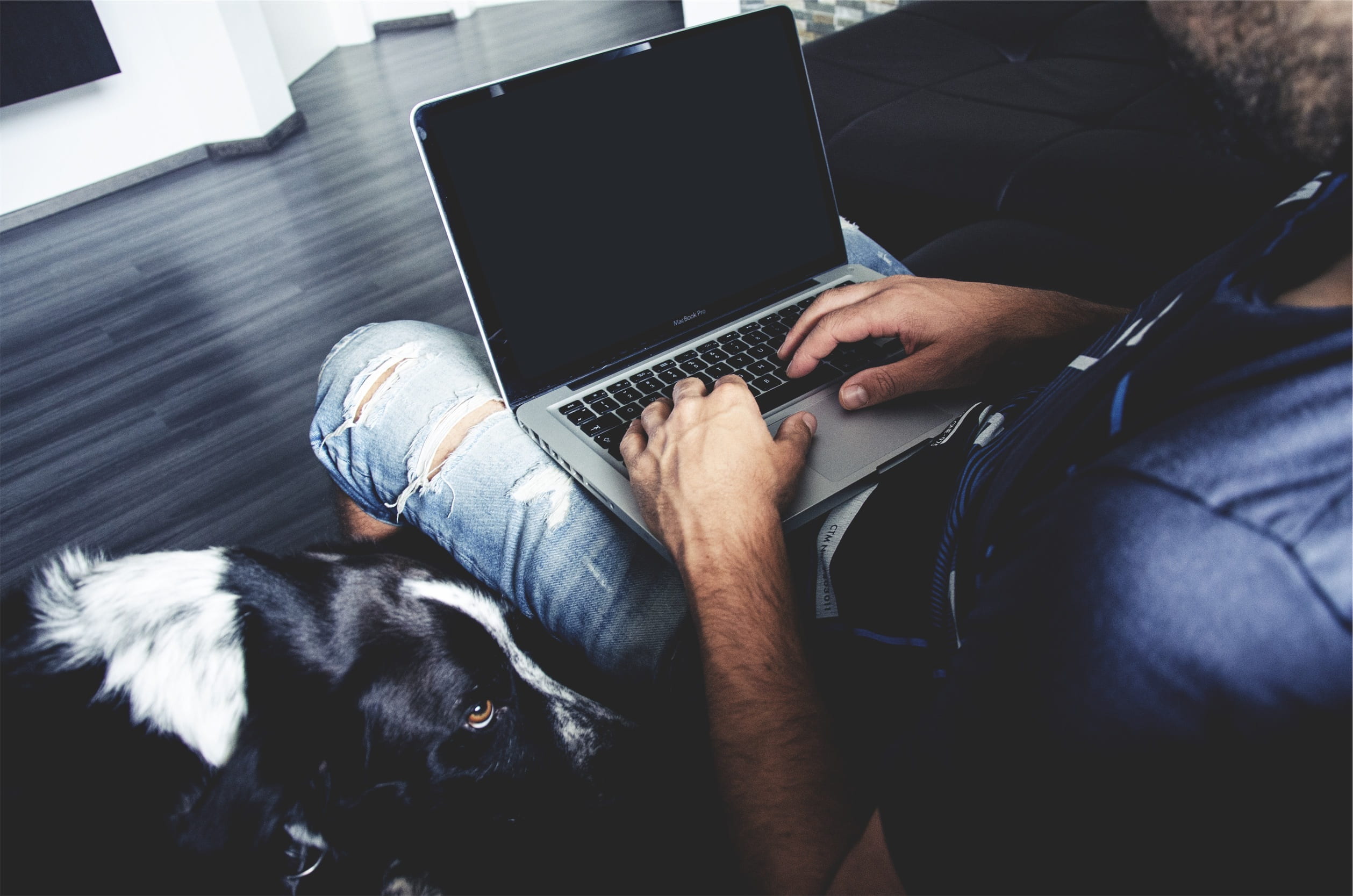 animal, pets, sitting, body part, lap, pet, pet owner, dog, man, laptop, communication, guy, surfing the net, technology, mammal, people, one animal, 1080P, HD Wallpaper